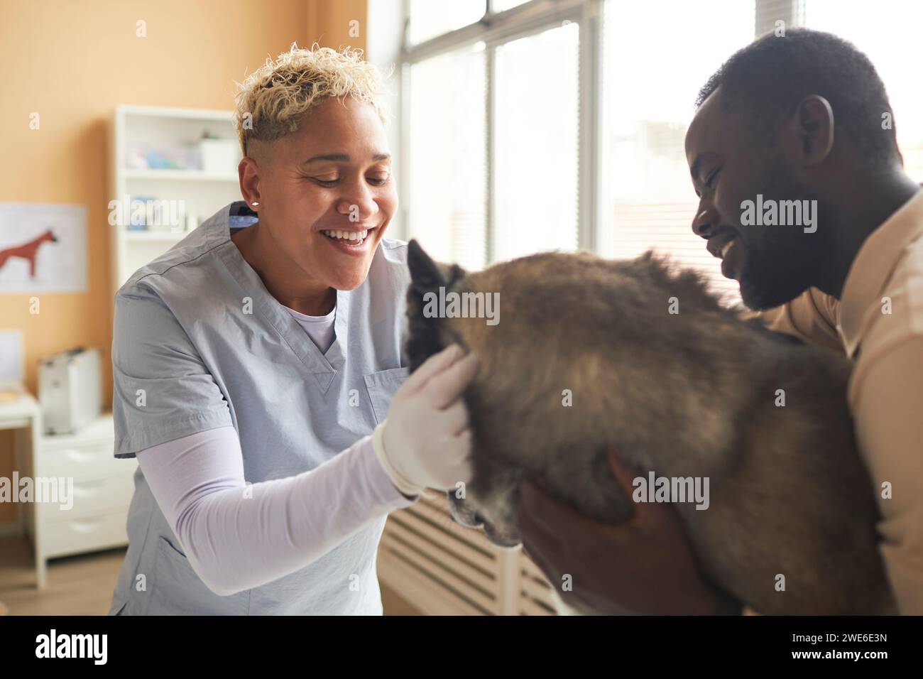 Happy veterinarian petting dog with owner in clinic Stock Photo