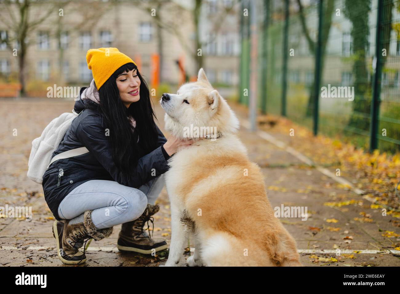 Happy beautiful woman petting Akita dog at autumn park Stock Photo