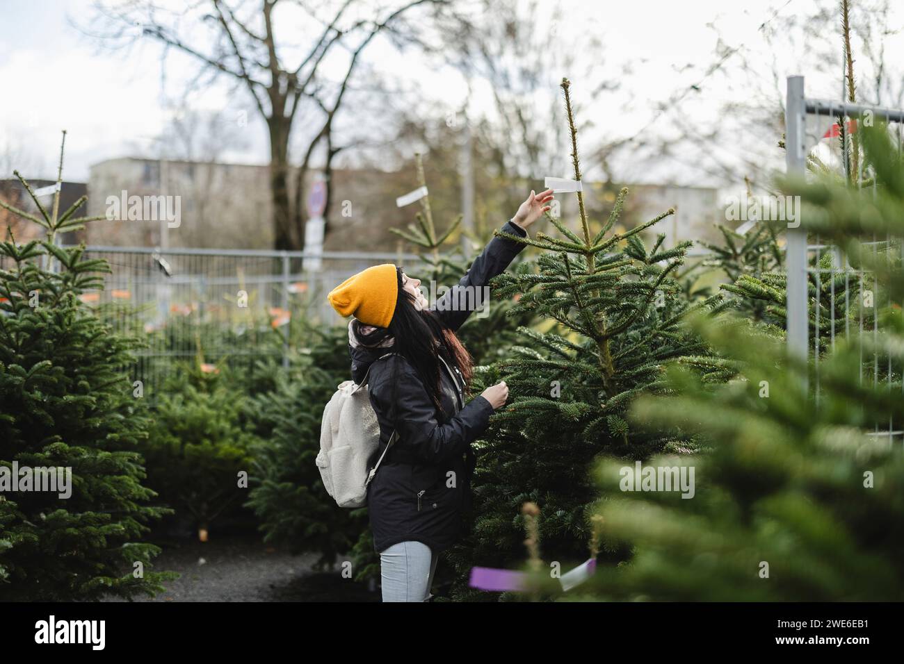 Woman christmas tree market hi-res stock photography and images - Alamy