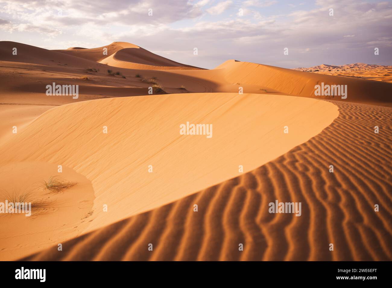 Sand dunes at Sahara desert in Morocco, Africa Stock Photo - Alamy