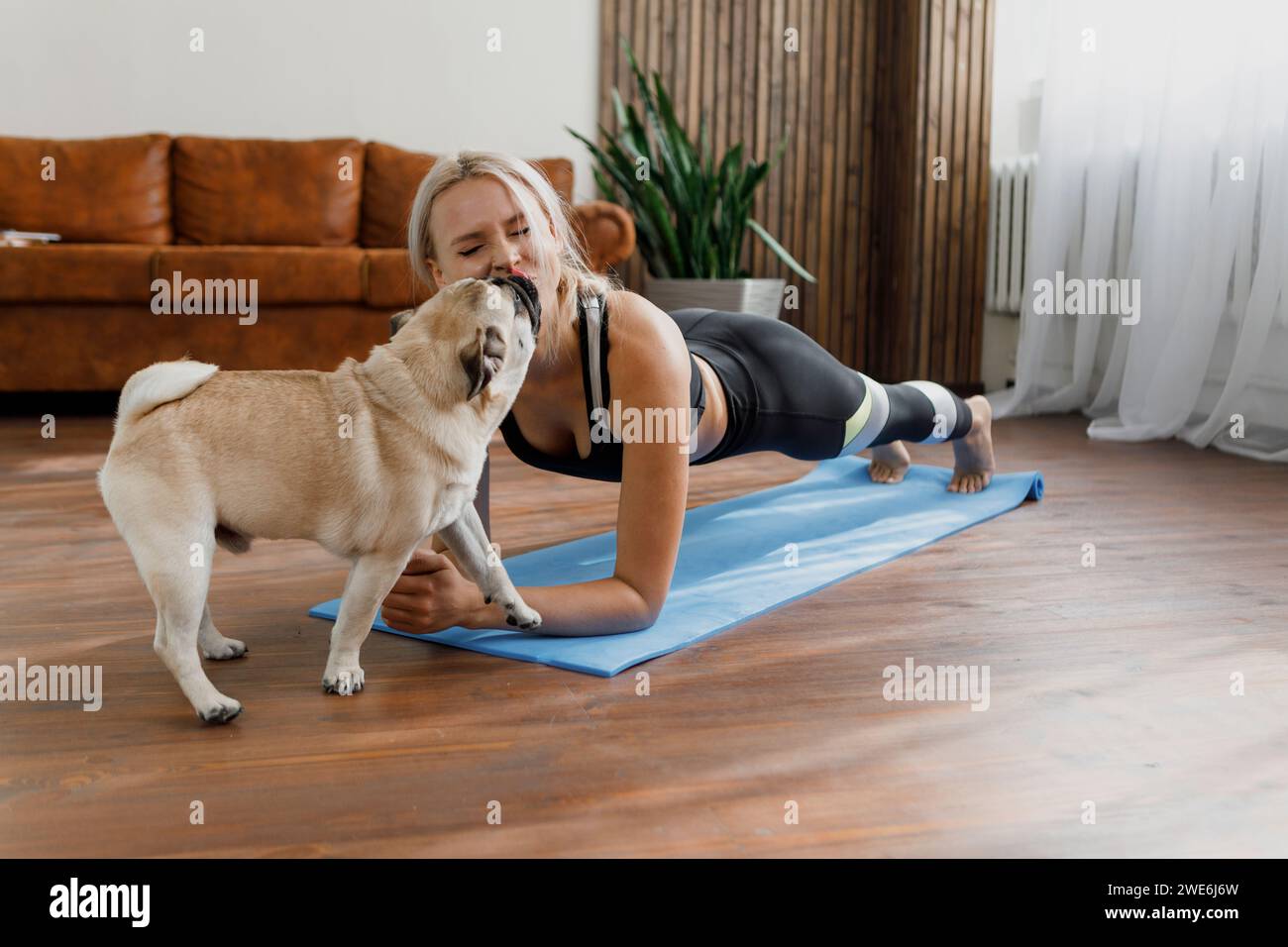 Young woman exercising near playful Pug dog at home Stock Photo