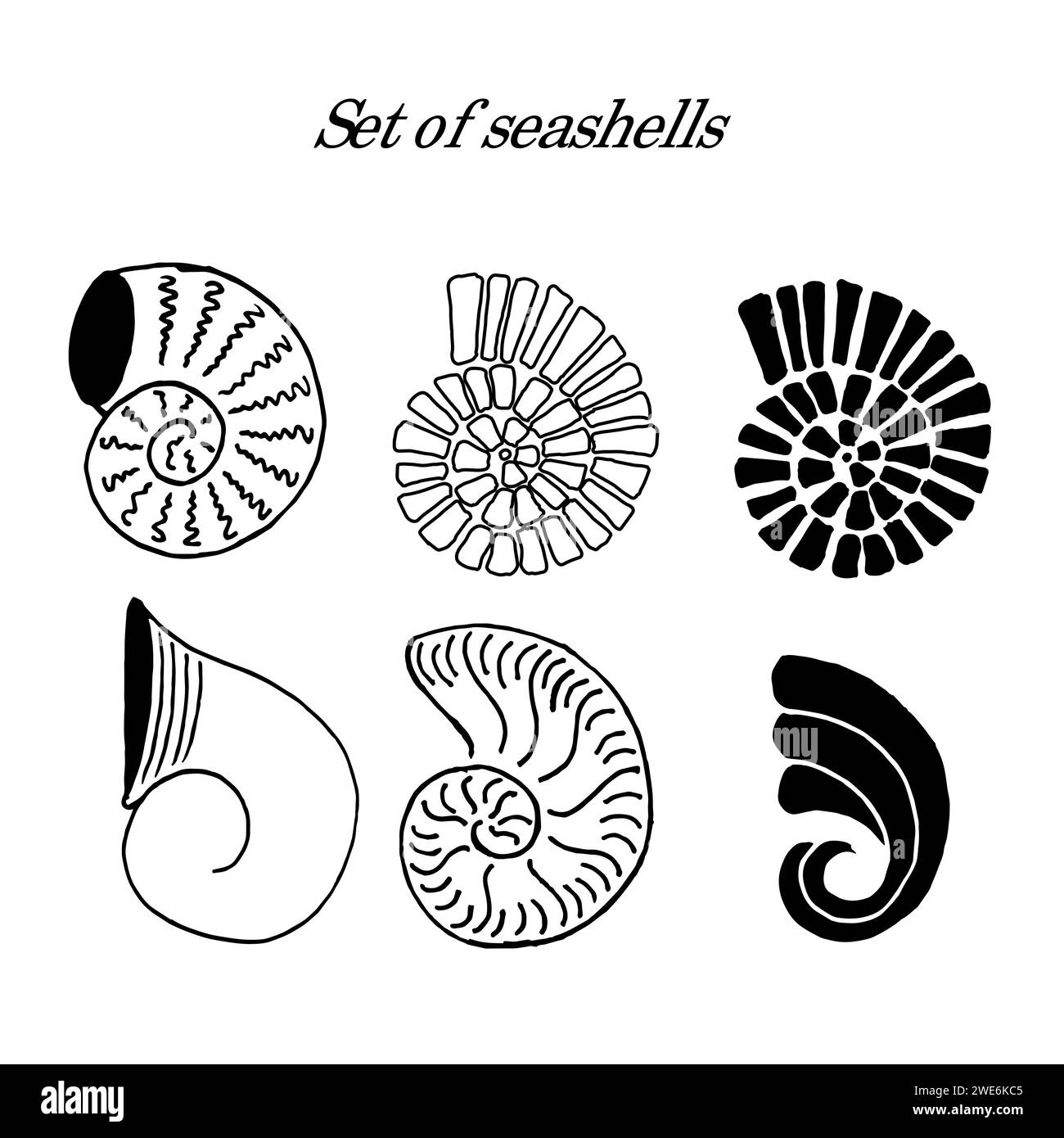 Doodle handdrawn set of seashells monochrome Stock Vector Image & Art ...