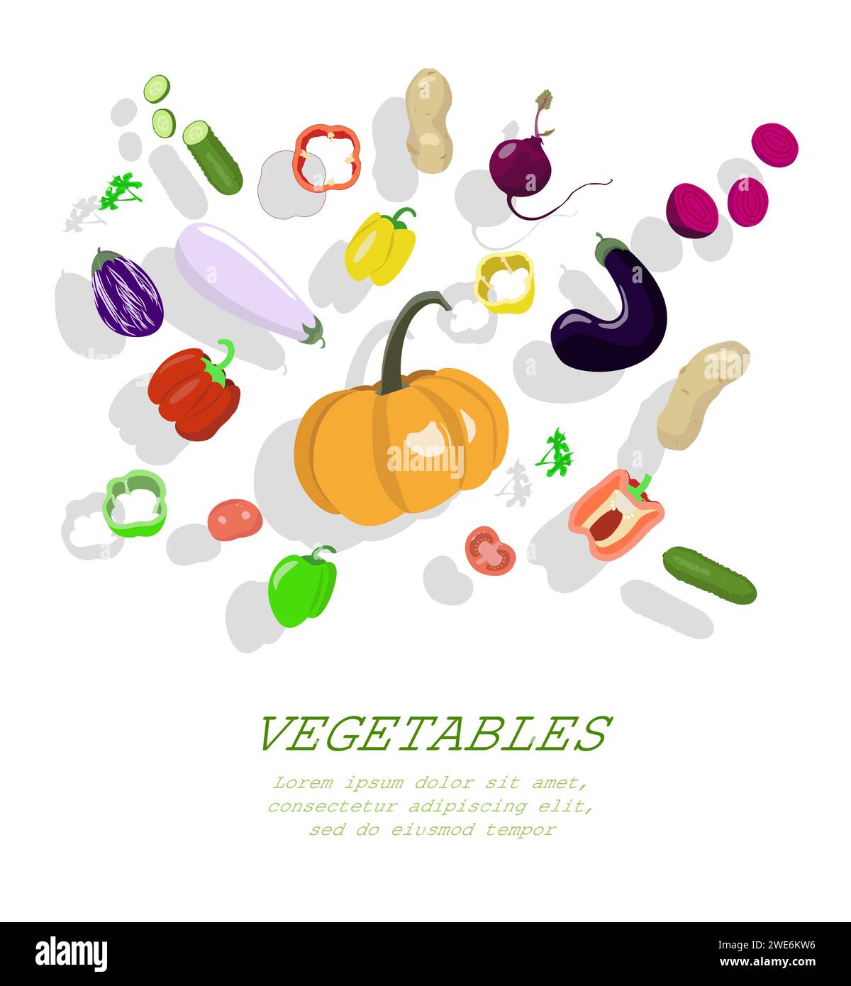Set of vegetables and their slices Stock Vector