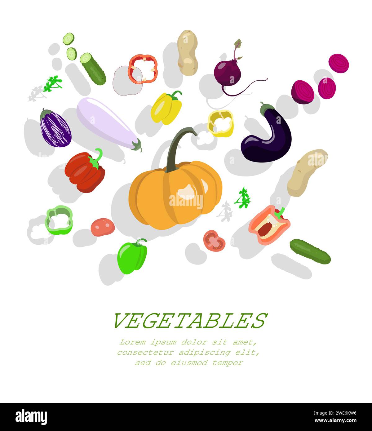 Botanical illustration of vegetables Stock Vector Images - Alamy