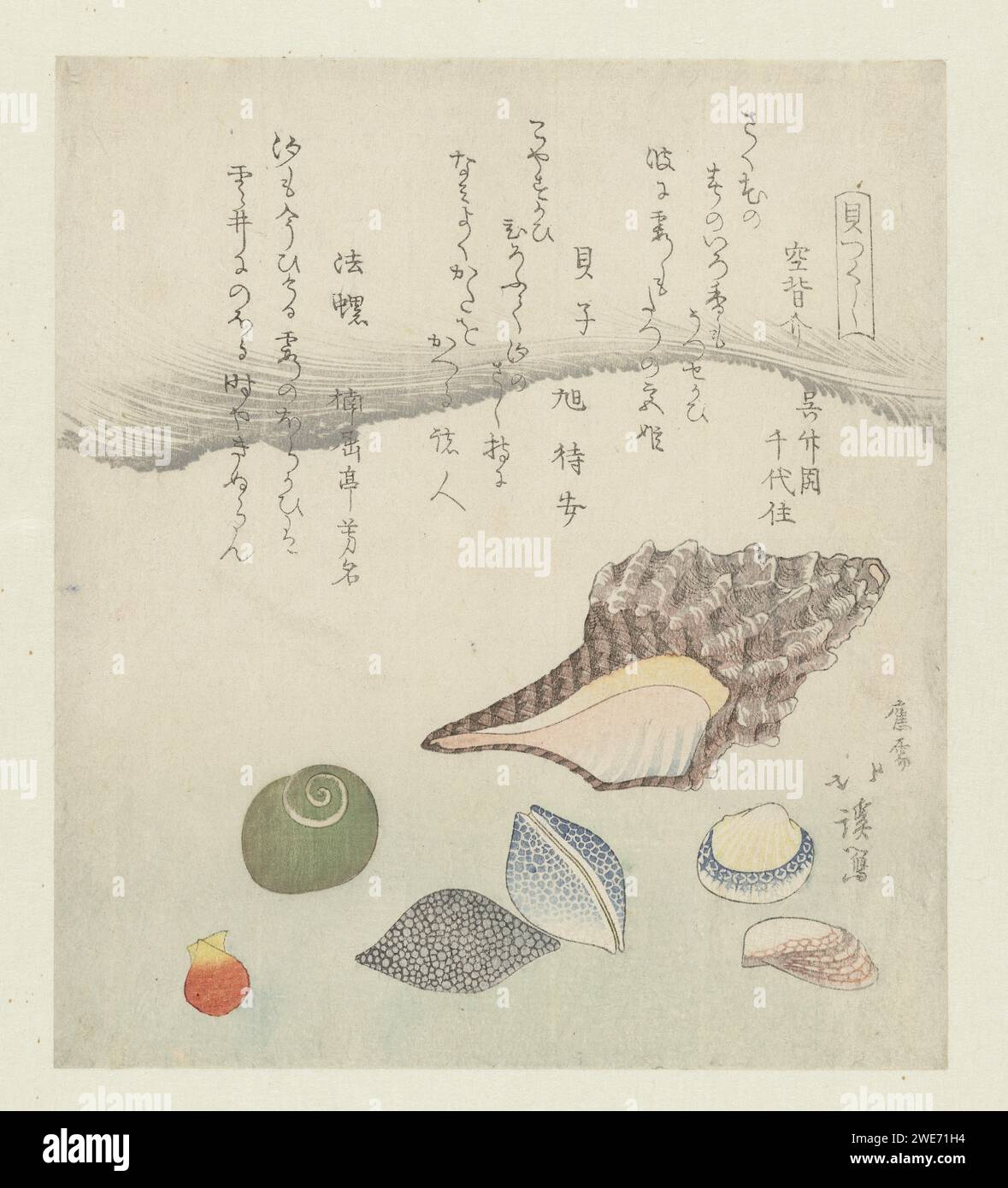 Reflection shell, ivory shell and Triton shell, Totoya Hokkei, 1821 print A large triton shell with smaller shells. With three poems. Japan paper color woodcut molluscs (+ shell, snail-shell etc.) Stock Photo