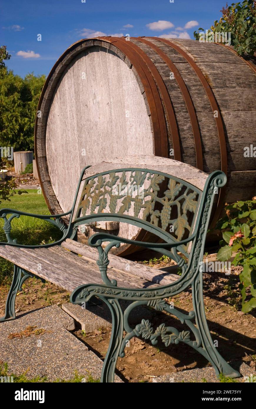 Bench with wine barrel, Yakima County, Washington Stock Photo Alamy