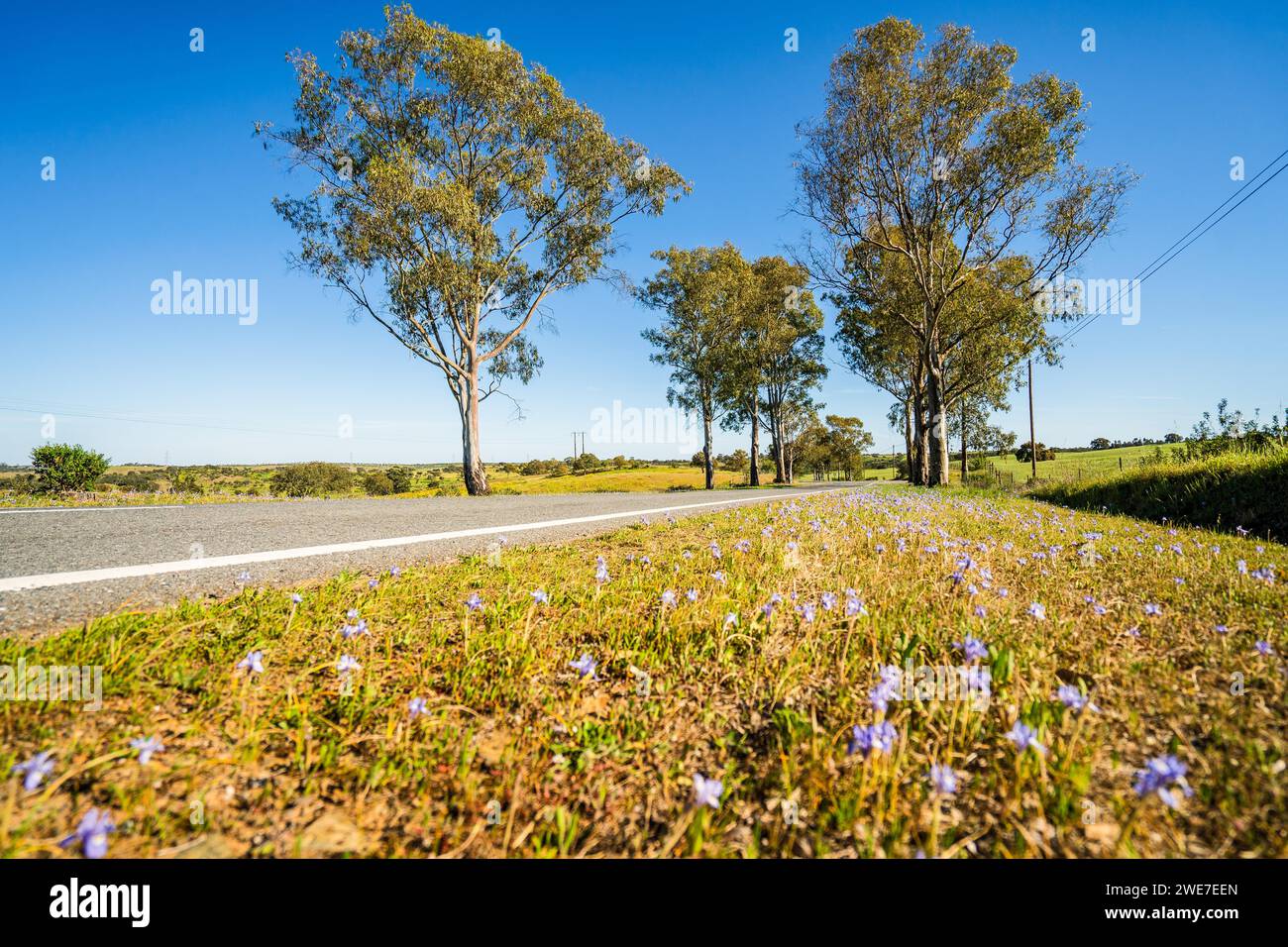Beautiful landscape of Alentejo and famous national road N2, Almodovar, Portugal Stock Photo