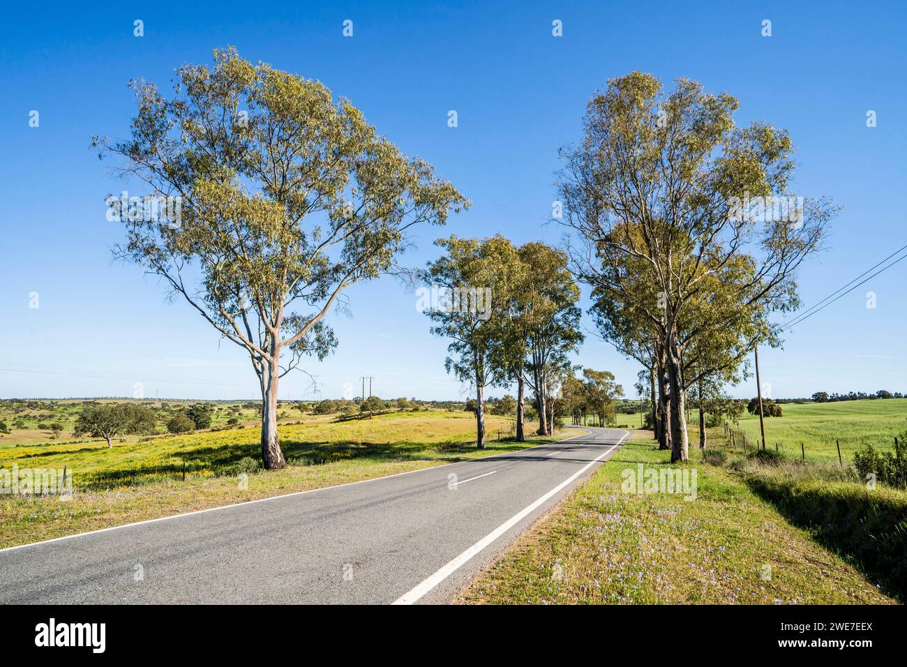 Beautiful landscape of Alentejo and famous national road N2, Almodovar, Portugal Stock Photo