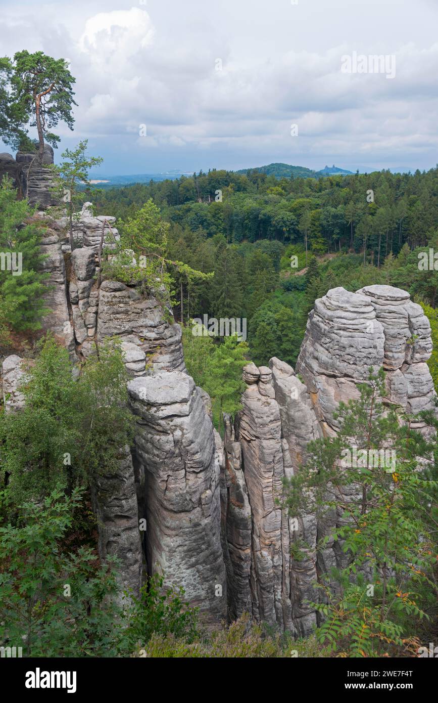 Wooded rock formations under a slightly cloudy sky, Prachovske skaly, Prachov Rocks, Bohemian Paradise, Cesky raj, Czech Republic Stock Photo