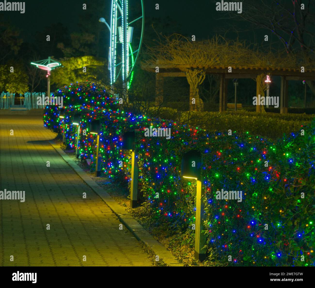 Small christmas lights