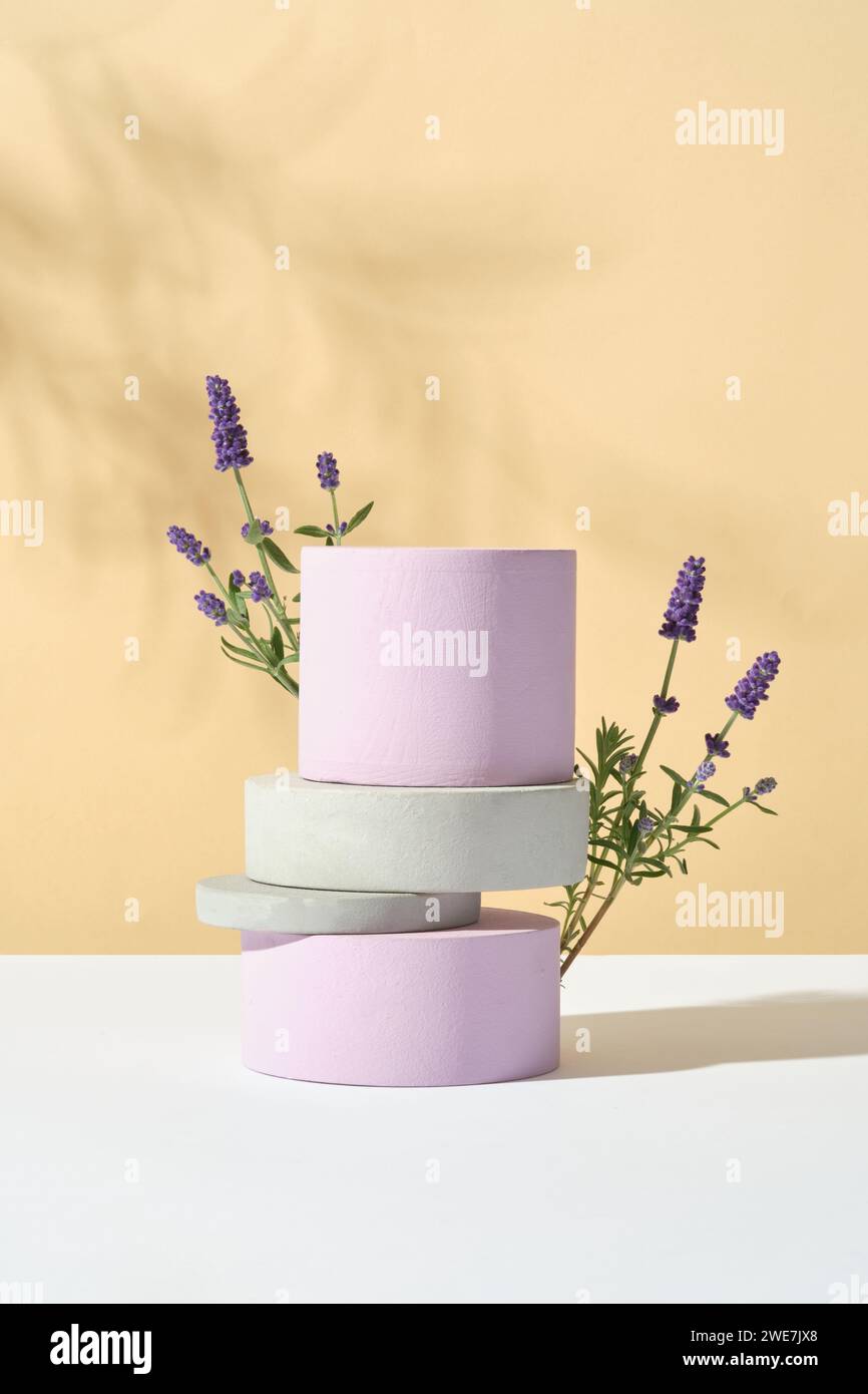 A stack of cylinder and round podium in different color with some lavender flowers behind. Lavender (Lavandula) could be a gentle way to treat acne Stock Photo