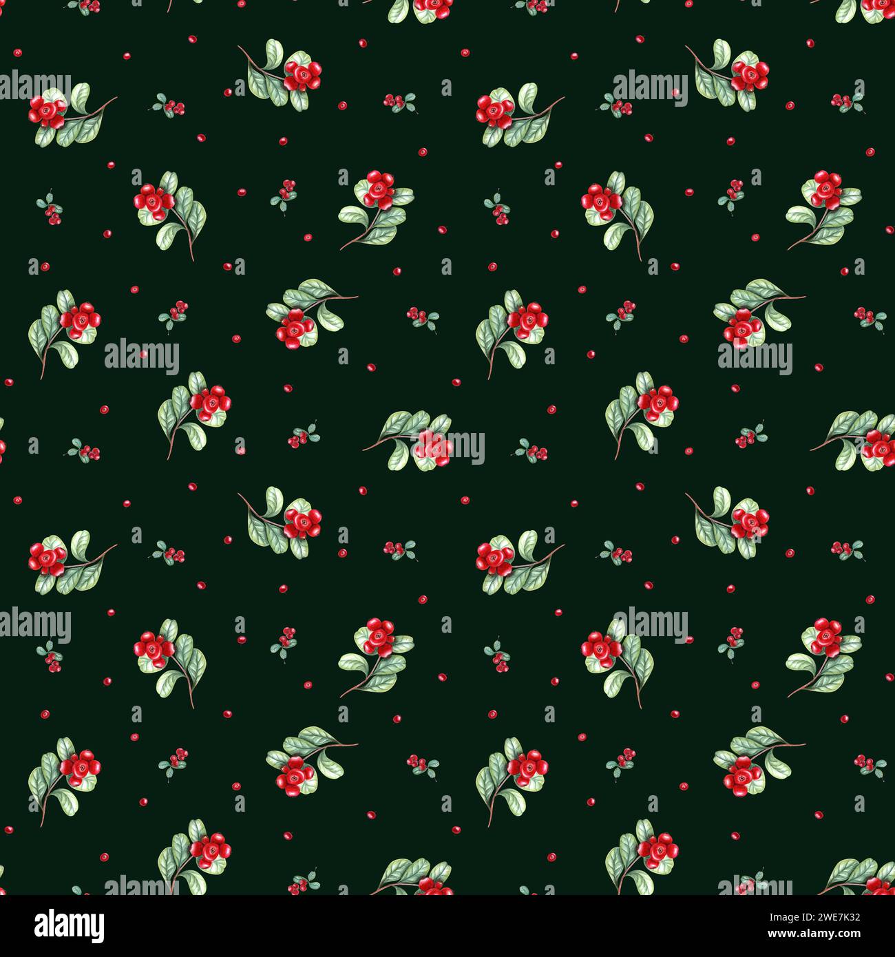 Seamless pattern of wild lingonberry berries with stem and leaves. Fresh partridgeberries on dark green background. Ripe red cowberries. Stock Photo
