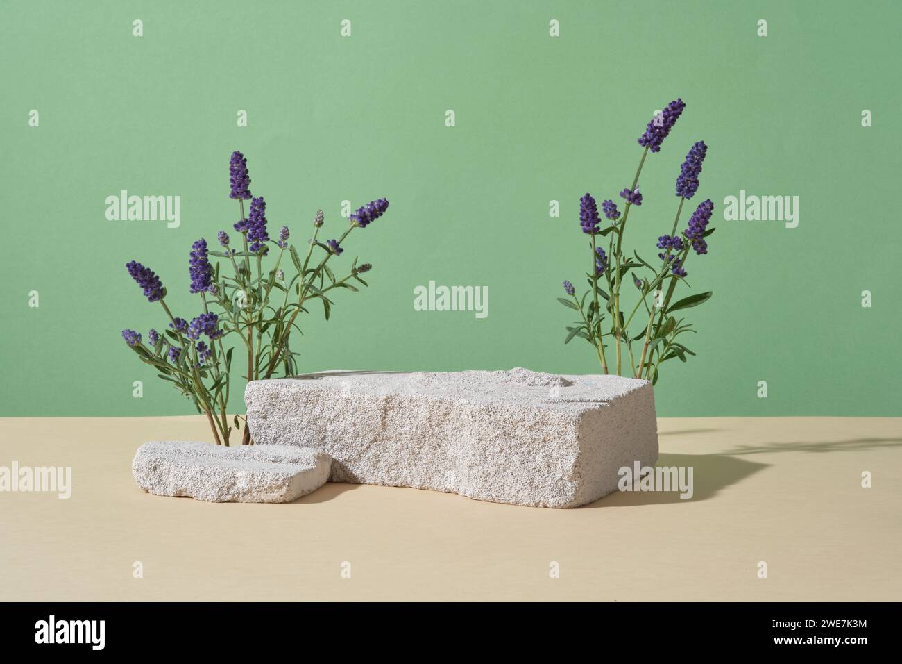 Broken stone podiums featured over pastel green background with lavender flowers. Concept scene stage showcase for product that extracted from Lavende Stock Photo