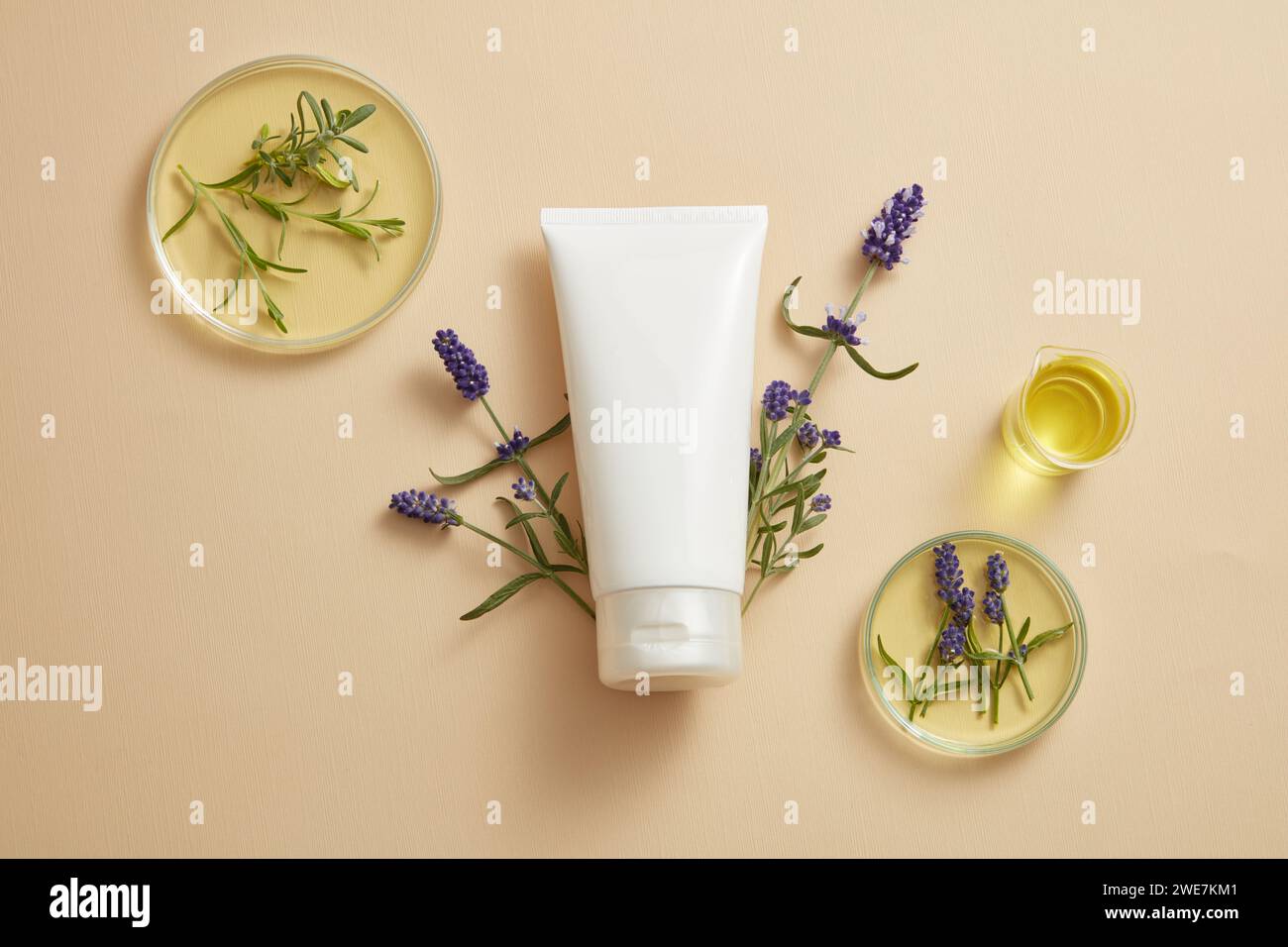 A tube in white color is decorated with purple lavender flowers and some glassware of yellow essential oil. Gentle skin care concept with empty label Stock Photo
