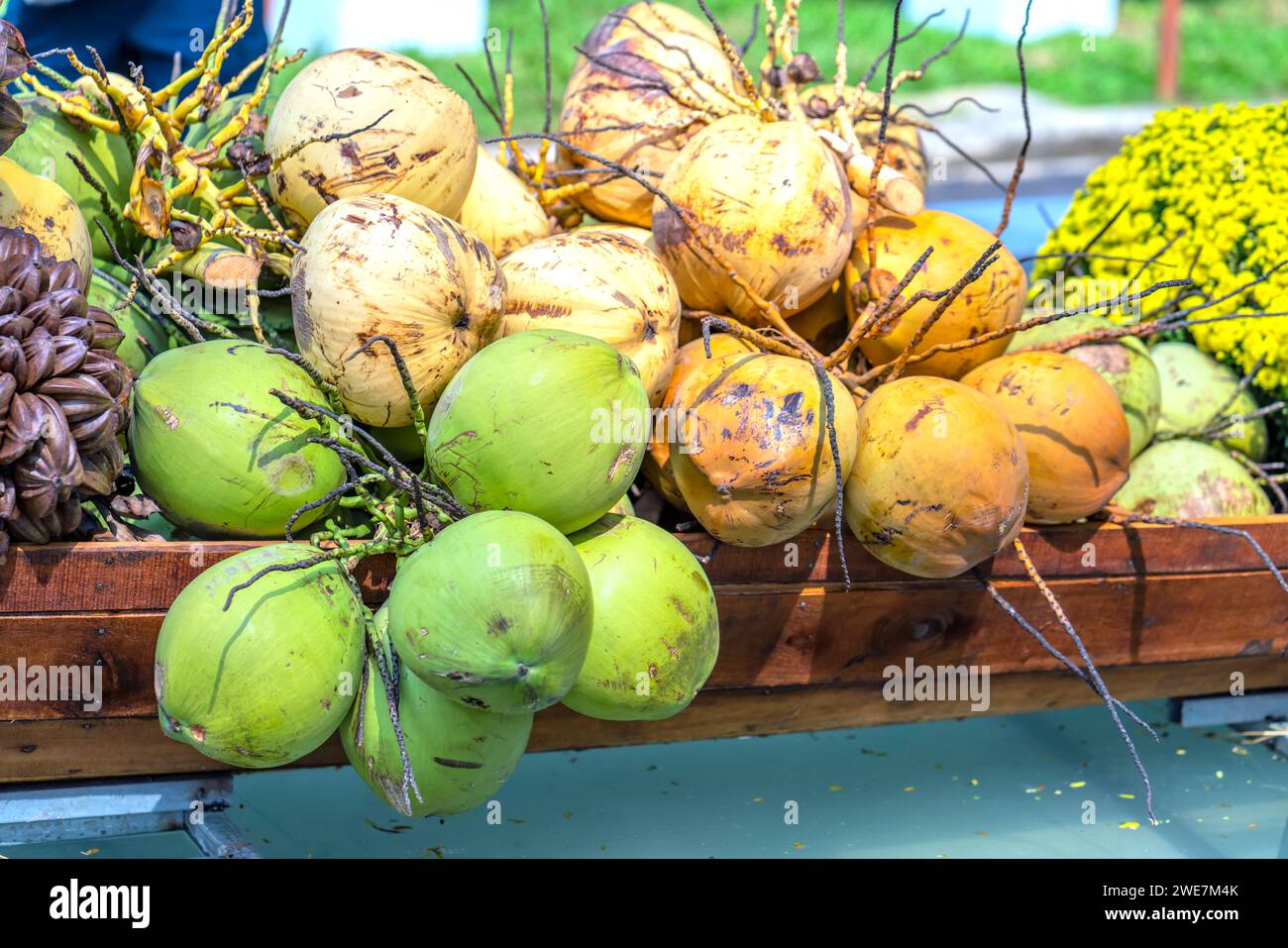 Coconuts are sold in the market. Nutritious drink rich in vitamins and minerals for the body Stock Photo