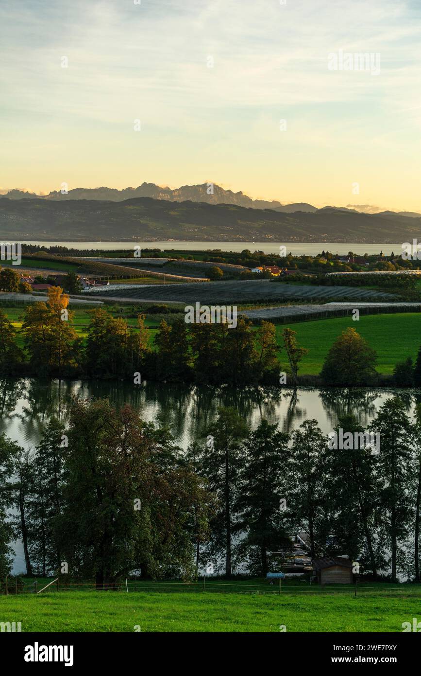 Kressbronn am Lake Constance, district Nitzenweiler, Schleinsee, water reflection, fruit cultivation, alpine view, row of trees, evening mood Stock Photo