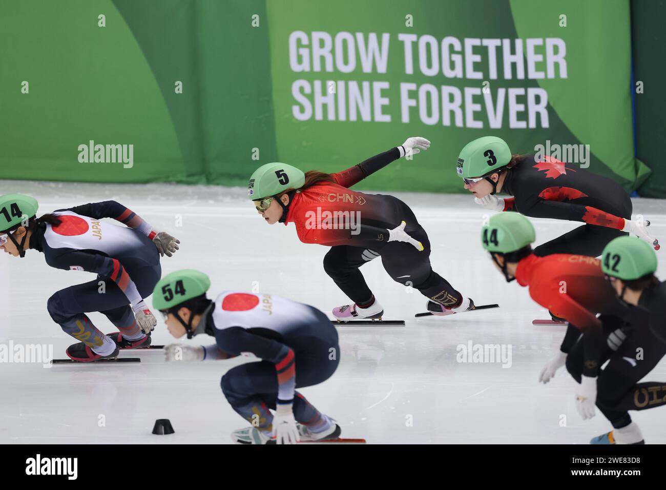 Jing Ru Yang Gangneung, South Korea. 24th Jan, 2024. Yang Jingru (C) of team China ...