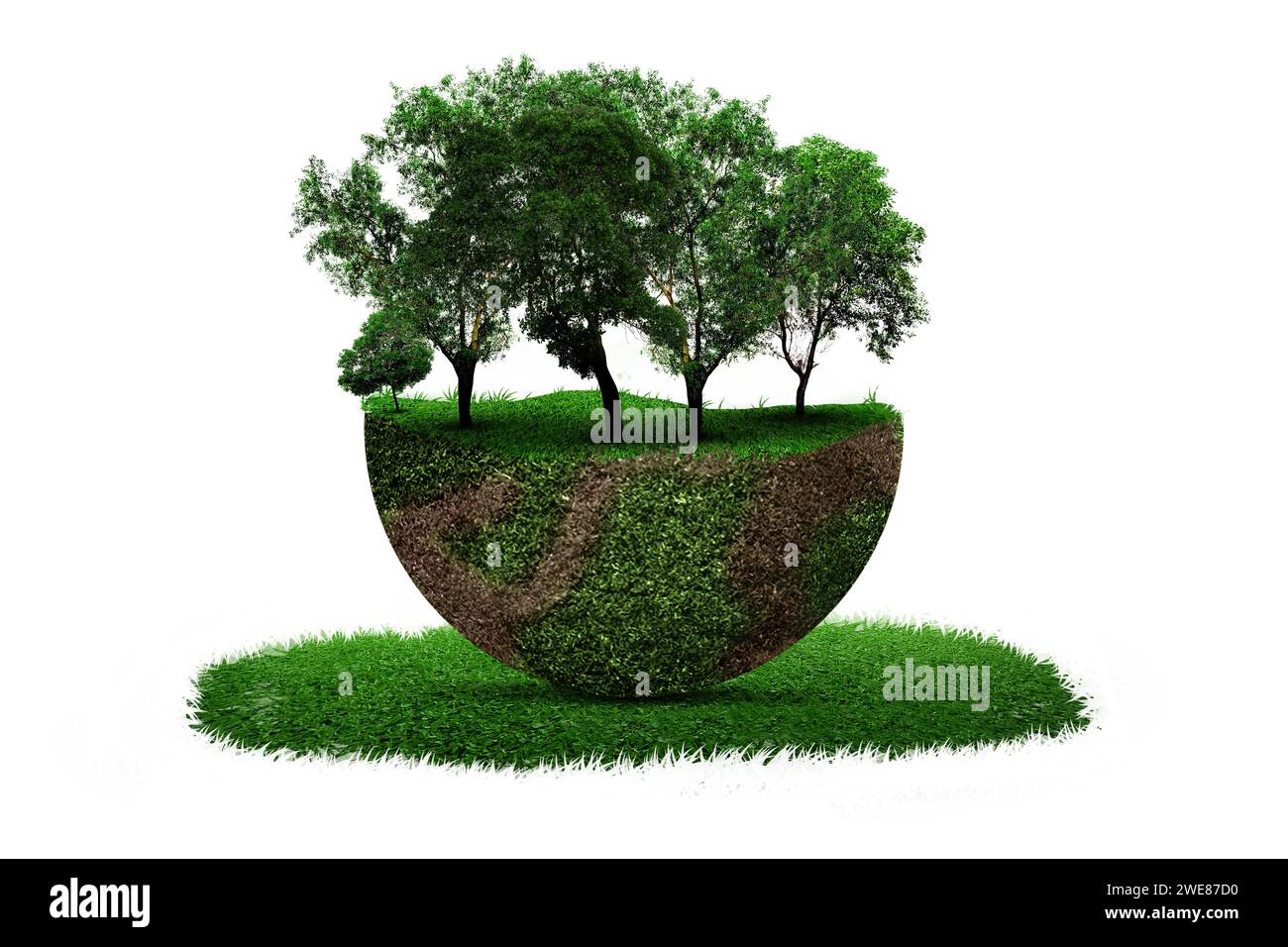 A grown tree on fertile land with green grass and a white background. Environment and climate change concept Stock Photo