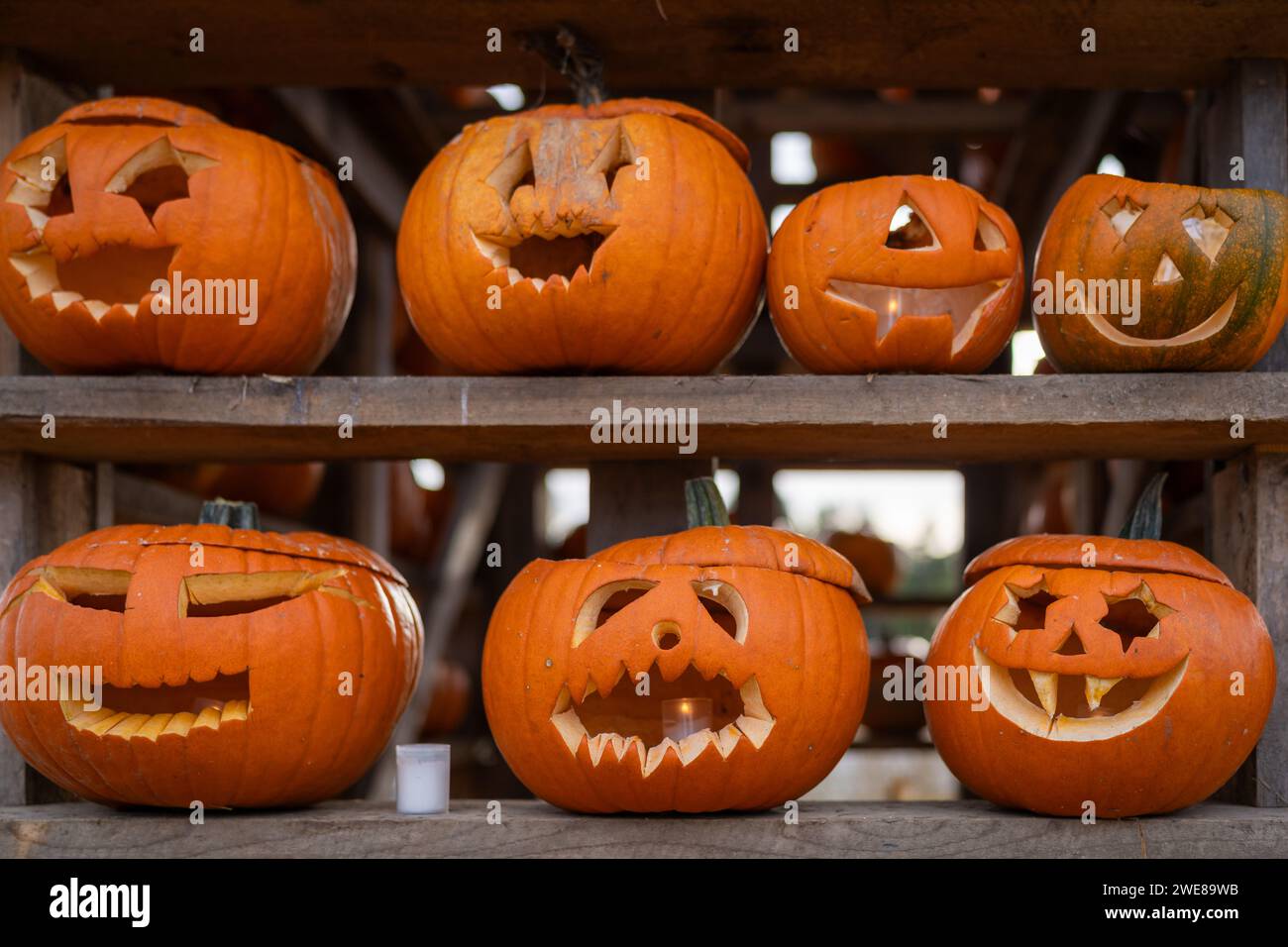 Halloween. Pumpkins at outdoor farmer market Stock Photo - Alamy
