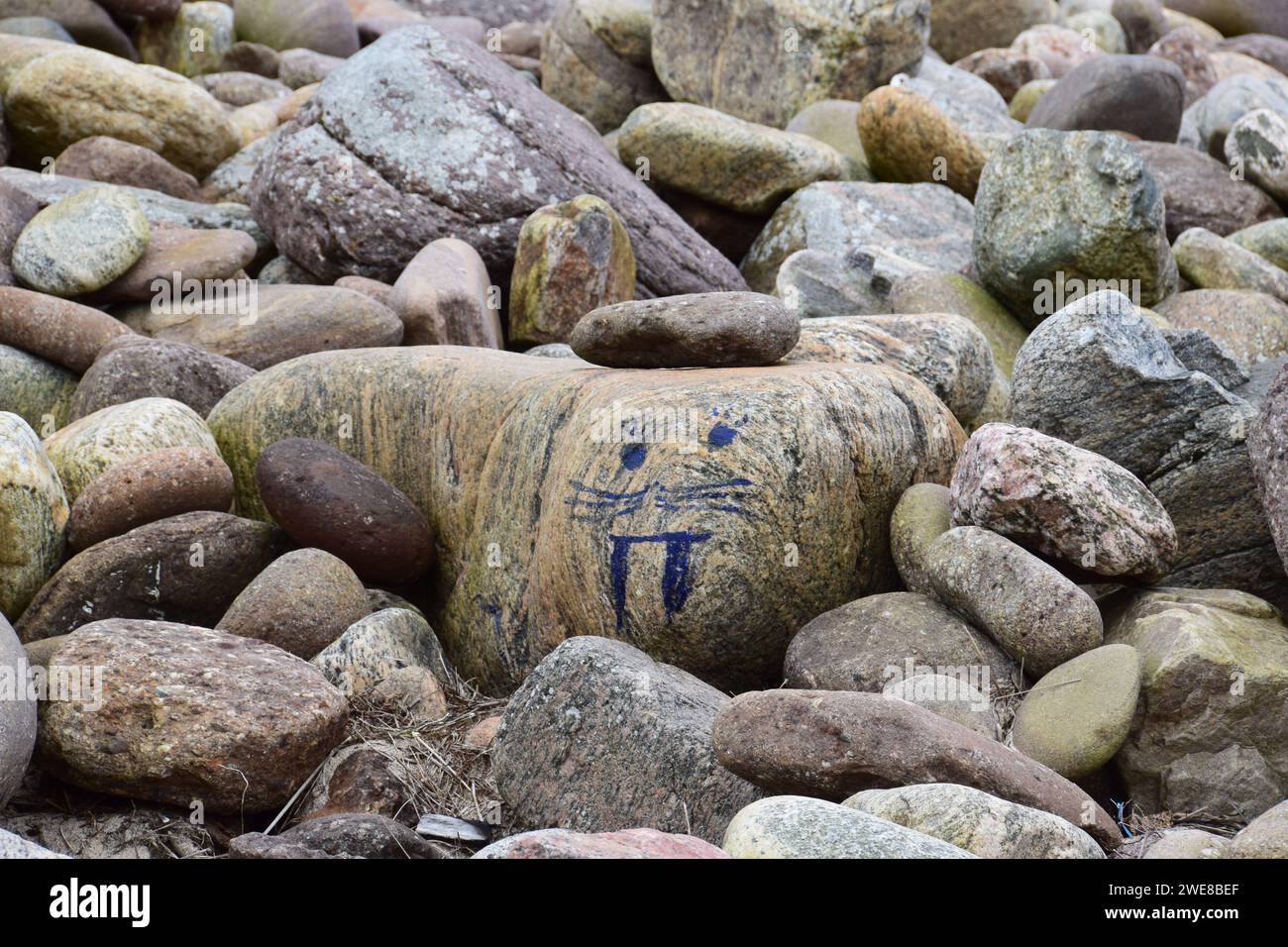 Seal face drawn on a seal shaped stone Stock Photo