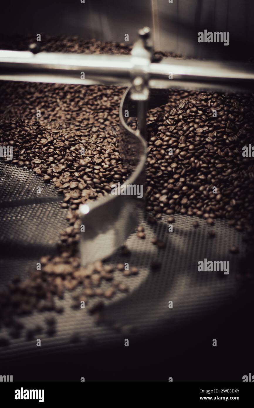 Close up of beans in a stainless steel industrial coffee roaster for an artisan coffee maker. Stock Photo