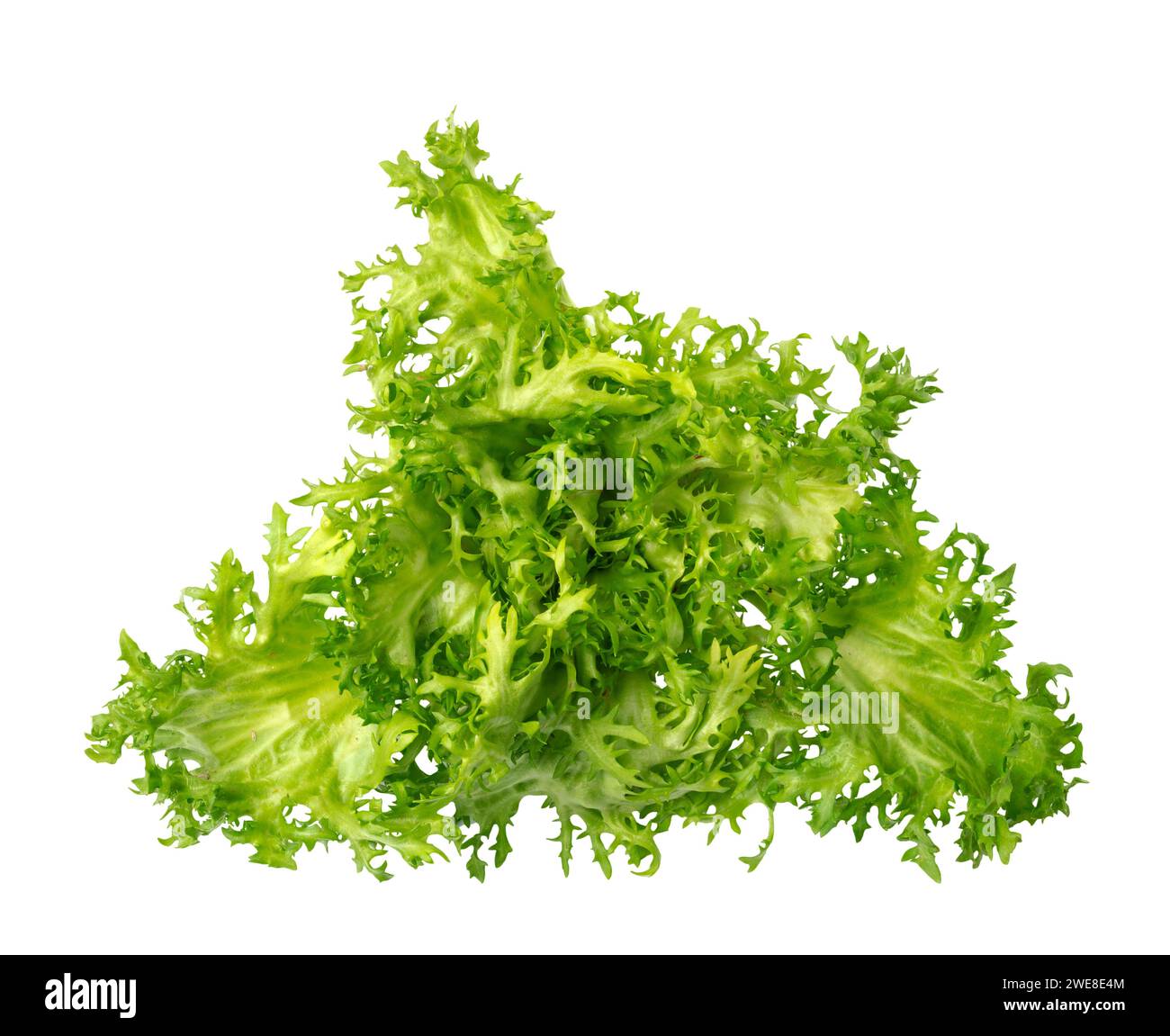Curly salad isolated on white background Stock Photo