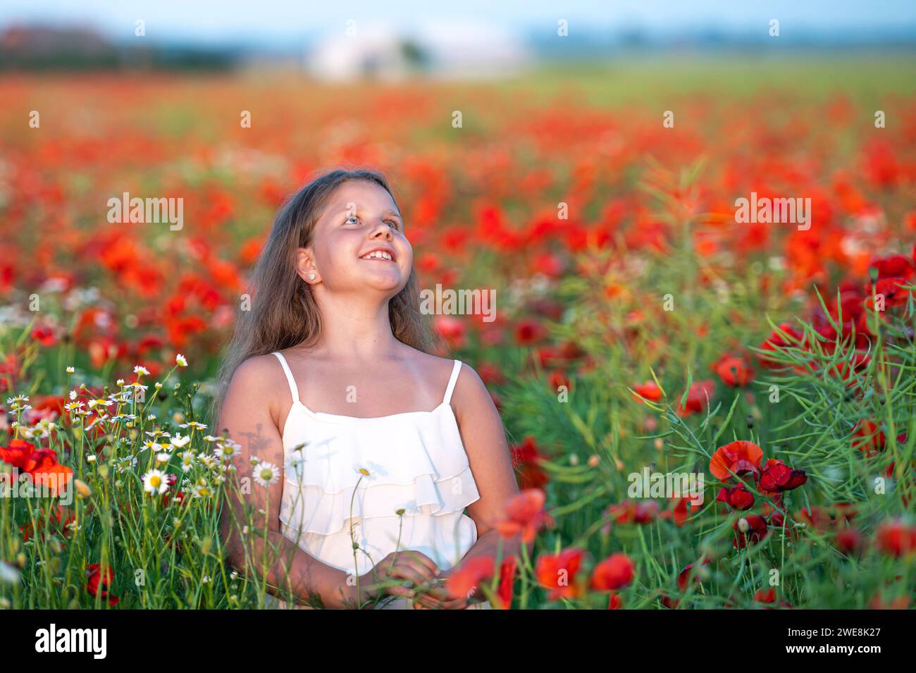 pretty little girl wearing white dress in summer blooming poppy field ...