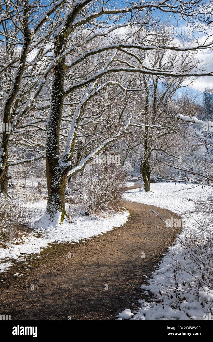 Empty footpath trees in park day hi-res stock photography and images ...