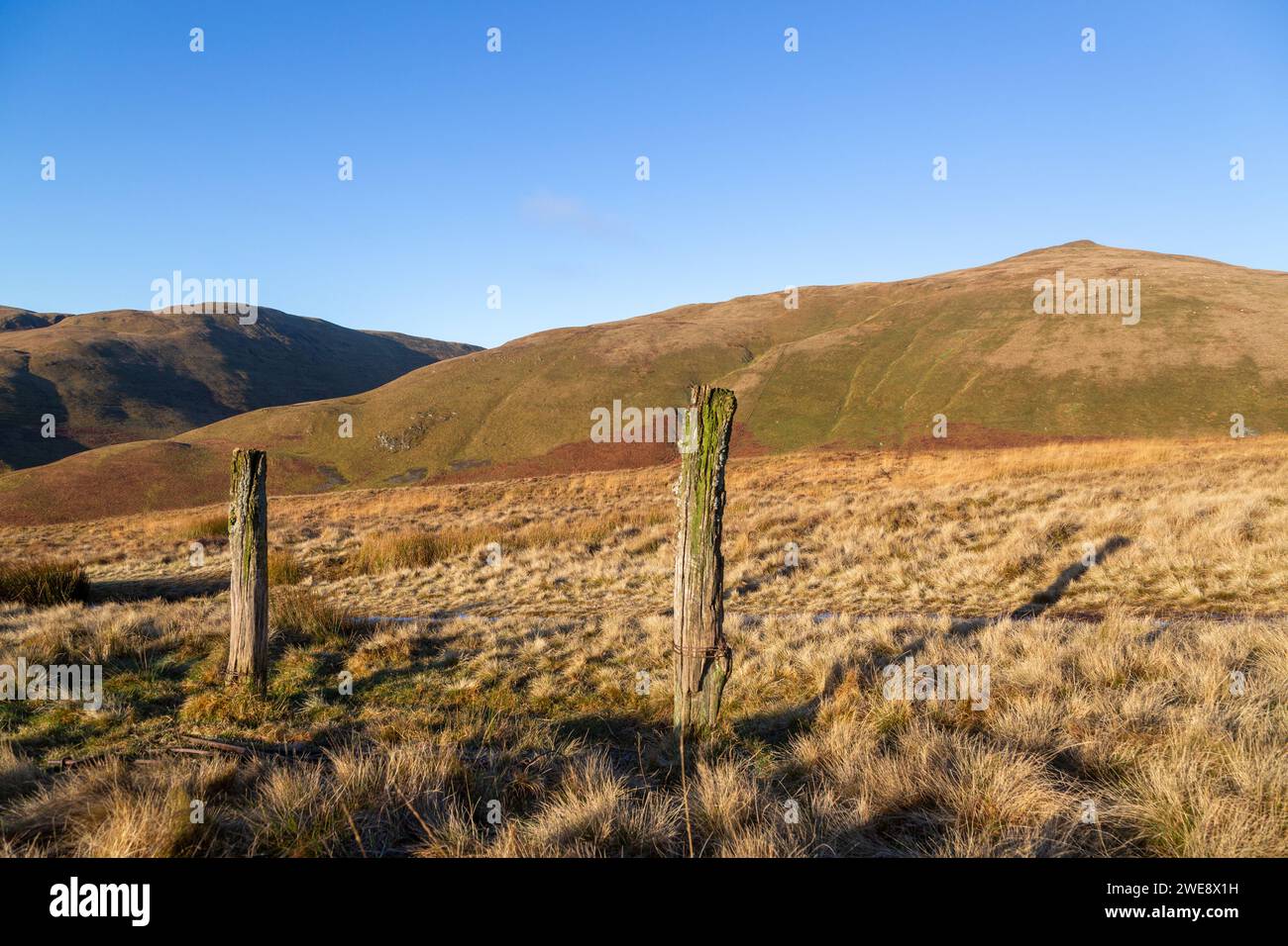 Looking towards Andrew Gannel Hill in the Ochil Hills near Tillicoultry Stock Photo