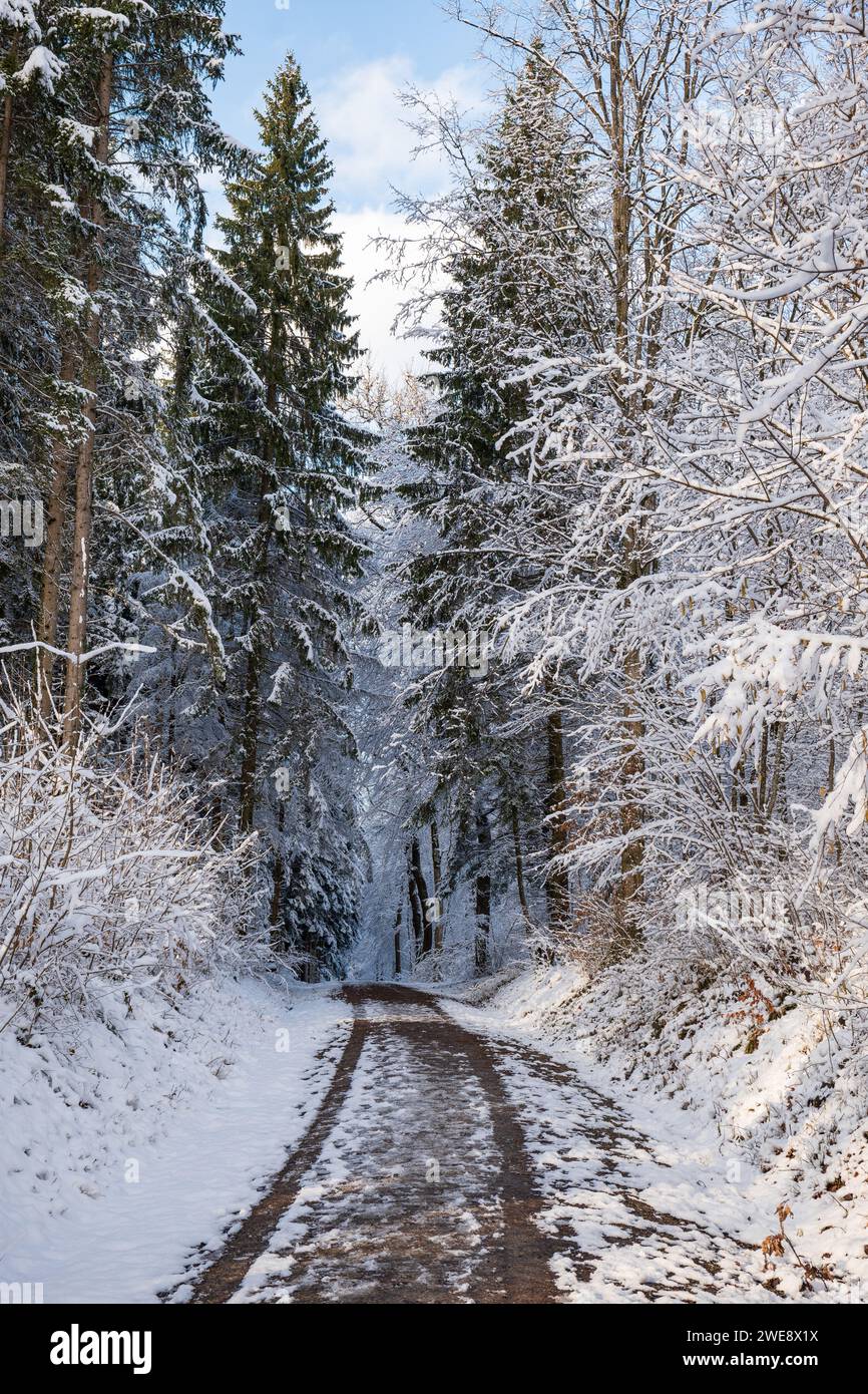 Empty footpath covered beautiful hi-res stock photography and images ...