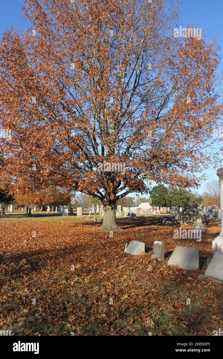 Oakwood cemetery hi-res stock photography and images - Alamy