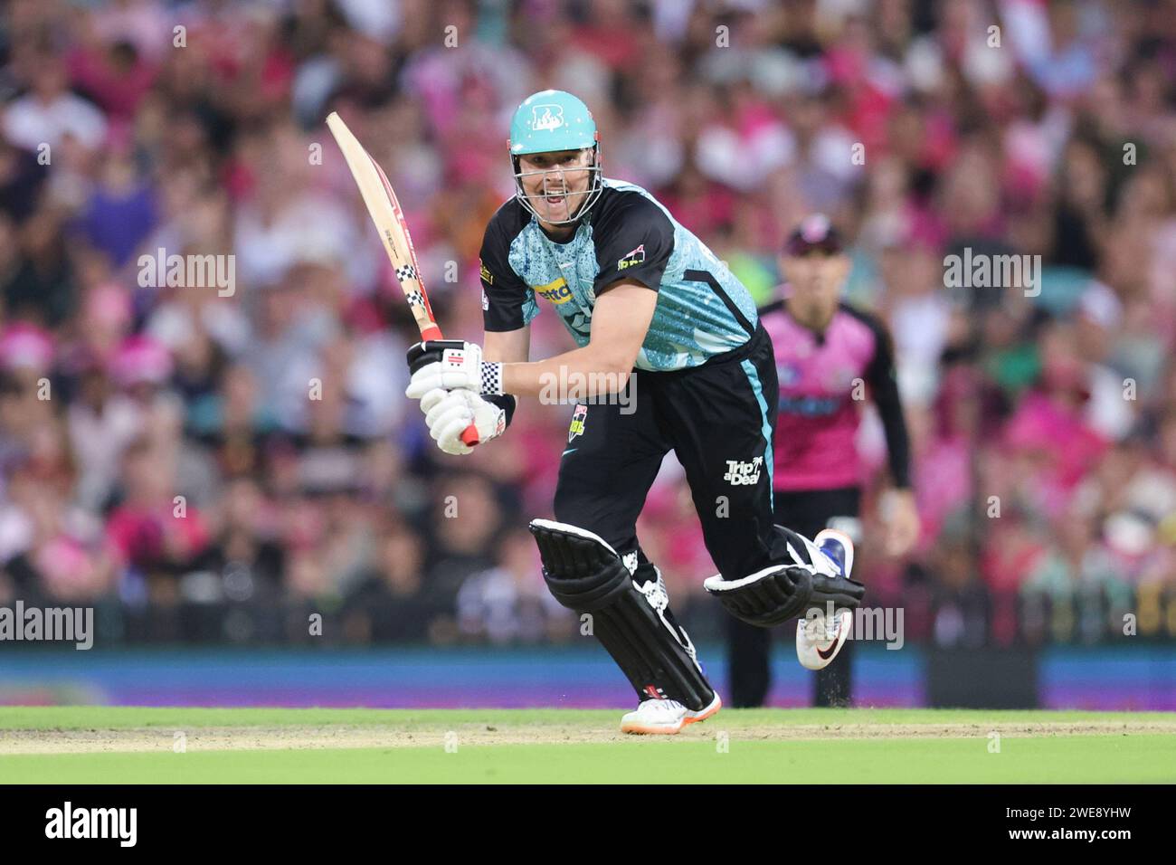sydney-australia-january-24-brisbane-heat-player-matthew-renshaw