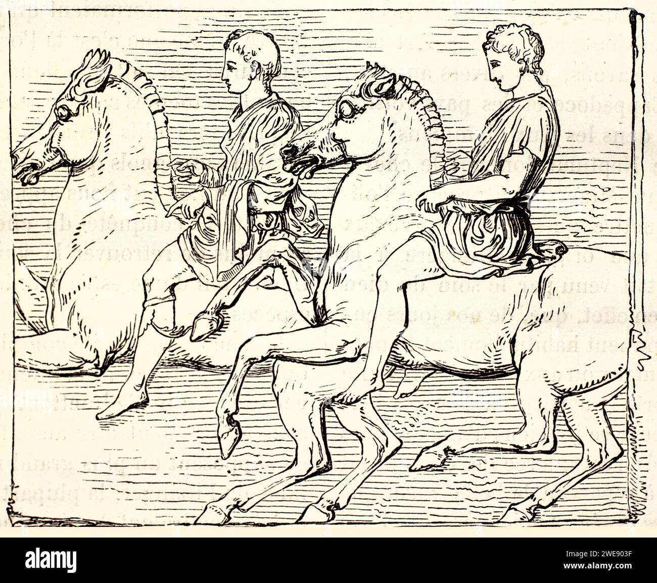 Old engraved reproduction of Partenon horses bas-relief. By unknown author, published on Brehm, Les Mammifers, Baillière et fils, Paris, 1878 Stock Photo