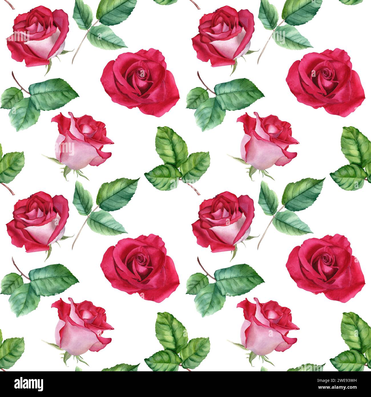Watercolor seamless pattern with flower Rose blooms and leaves ...