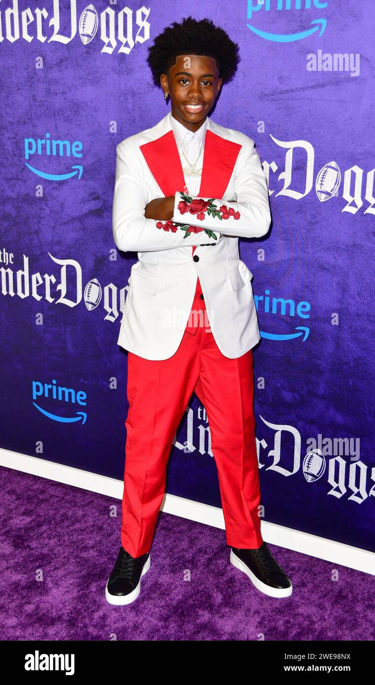 Culver City, Ca. 23rd Jan, 2024. Caleb Dixon at the LA Premiere of