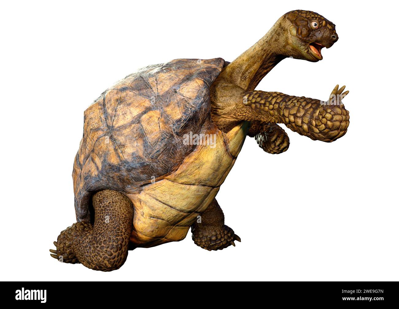 3D rendering of a sea turtle isolated on white background Stock Photo ...
