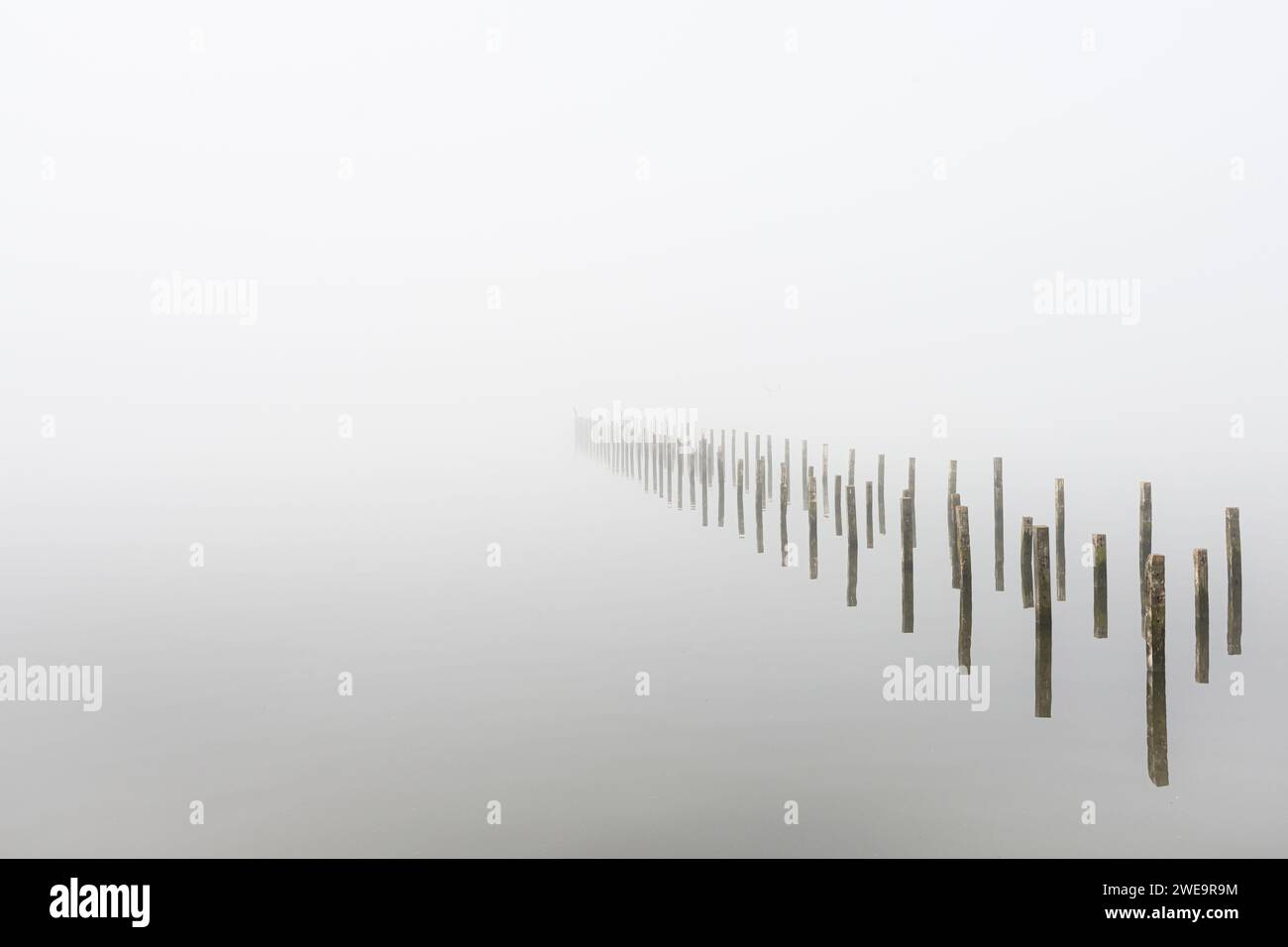 Dümmer See im Nebel, Pfähle, Stock Photo