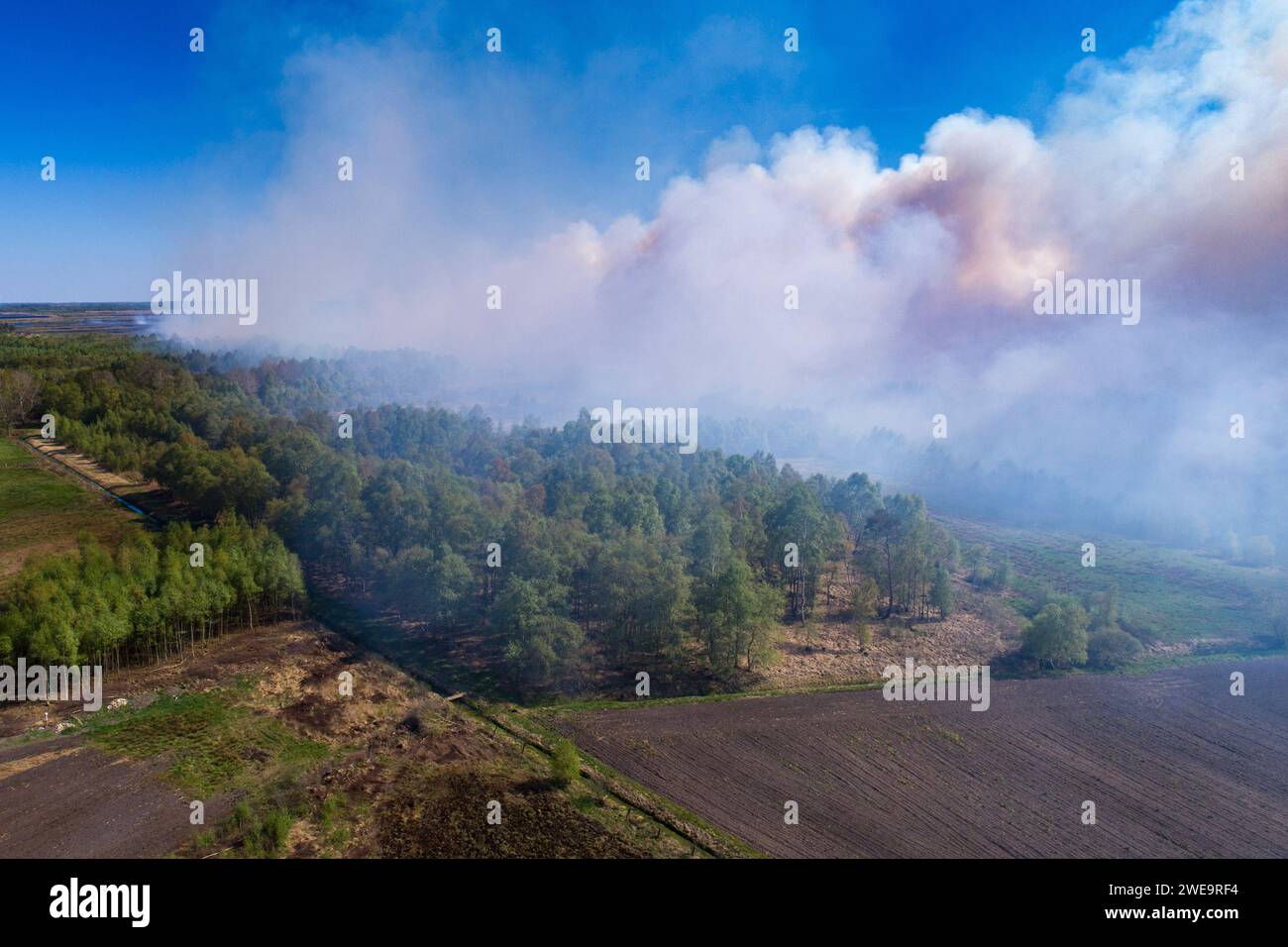 Feuer im Goldenstedter Moor, Stock Photo