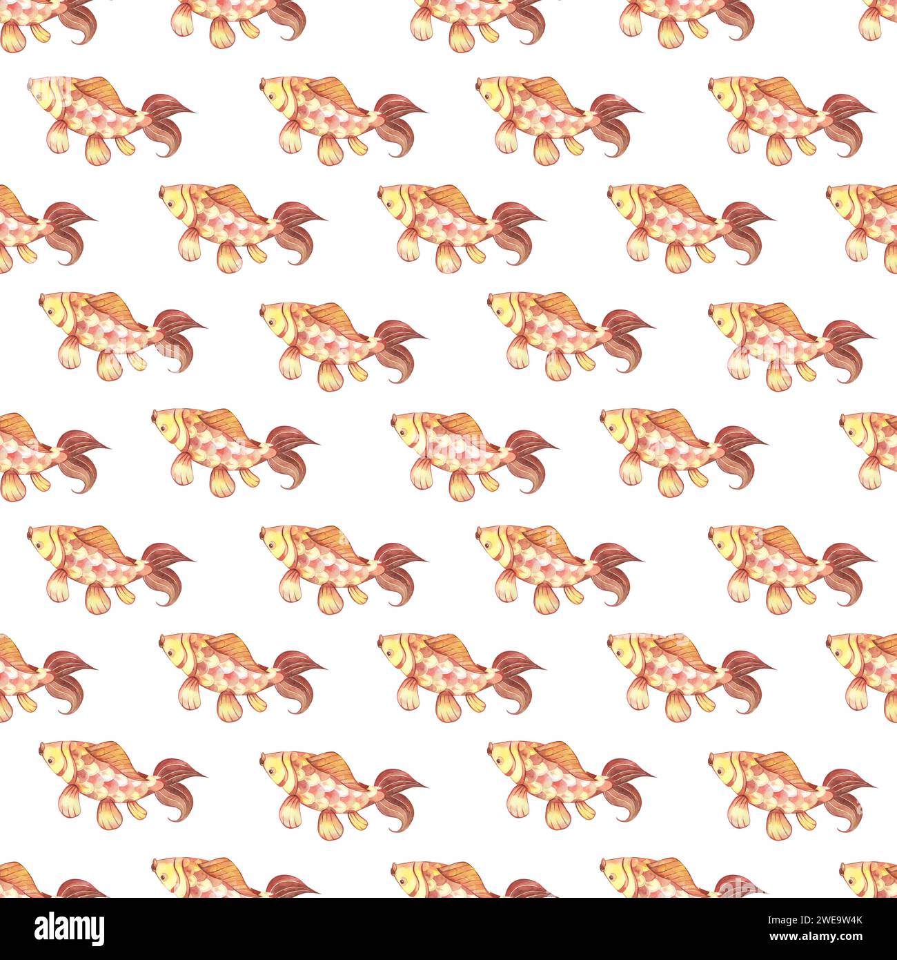 Seamless pattern. Chinese carp are red and yellow in color with large fins on a white background. All elements are hand-painted with watercolors. Stock Photo