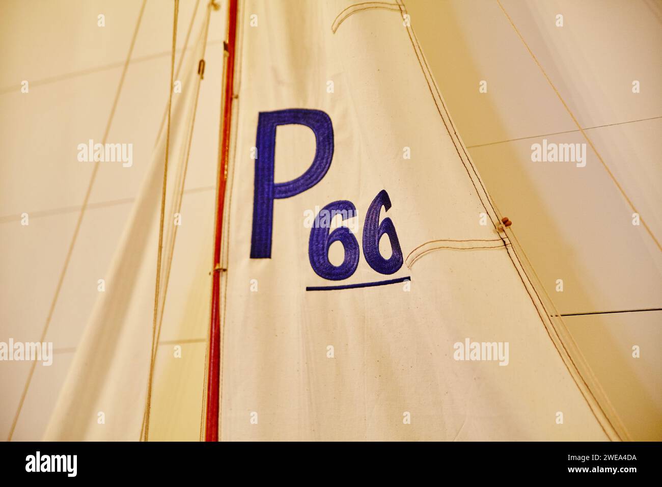 Sailboat Racing Numbers P66 Detail - Textured Sail Close-Up Stock Photo
