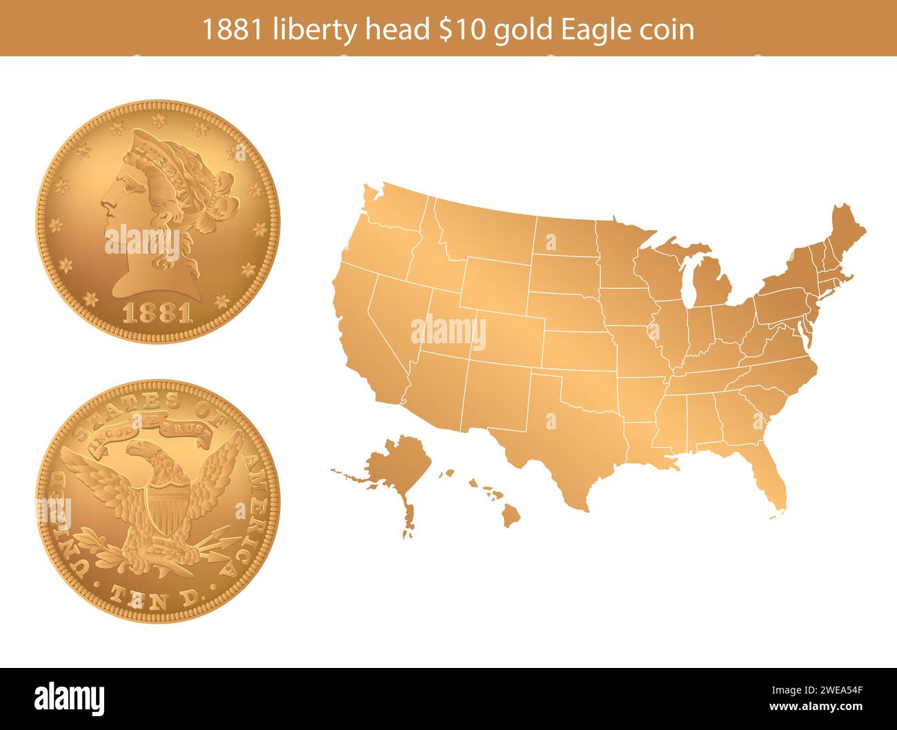1881 Year Eagle $10 US Gold Coin. Vector illustration isolated on the background of a map of the USA. Stock Vector