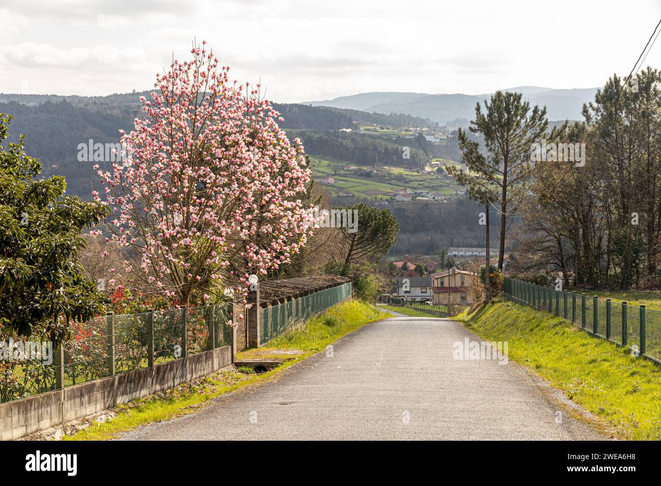 A Ponte Ulla, Spain. Rural landscape in a traditional village in Galicia Stock Photo