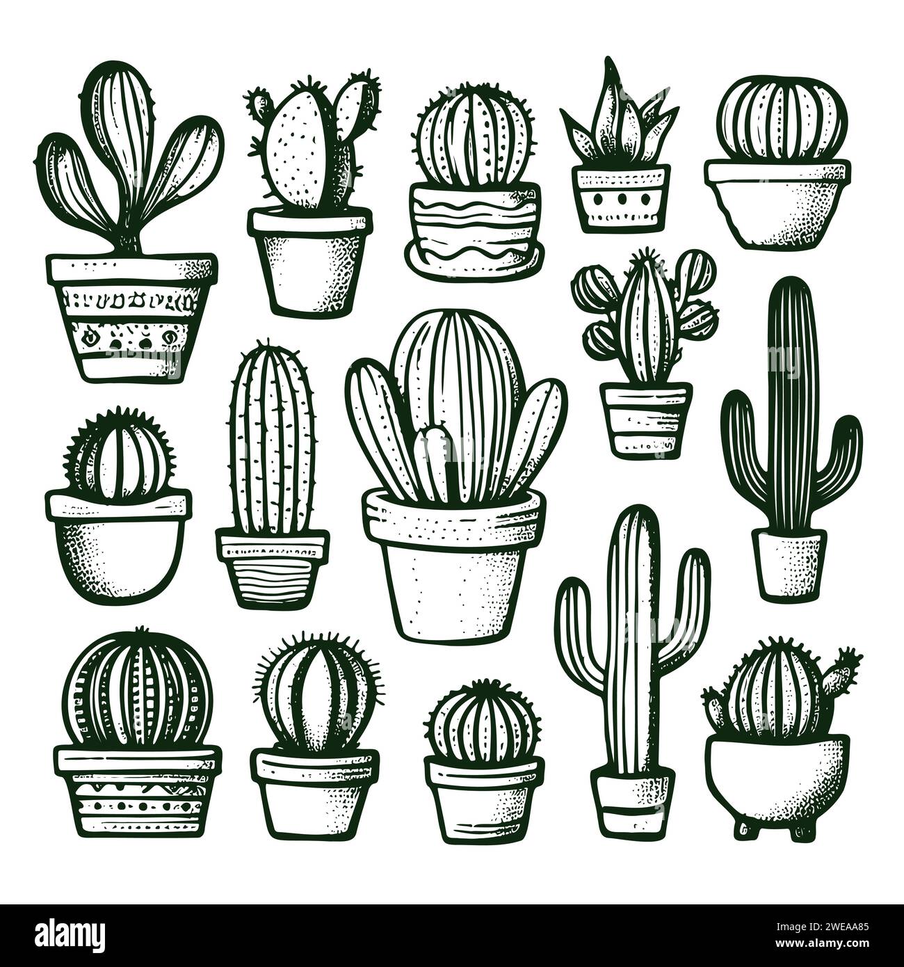 Set of cacti with flowers. Hand drawn illustration converted to vector ...