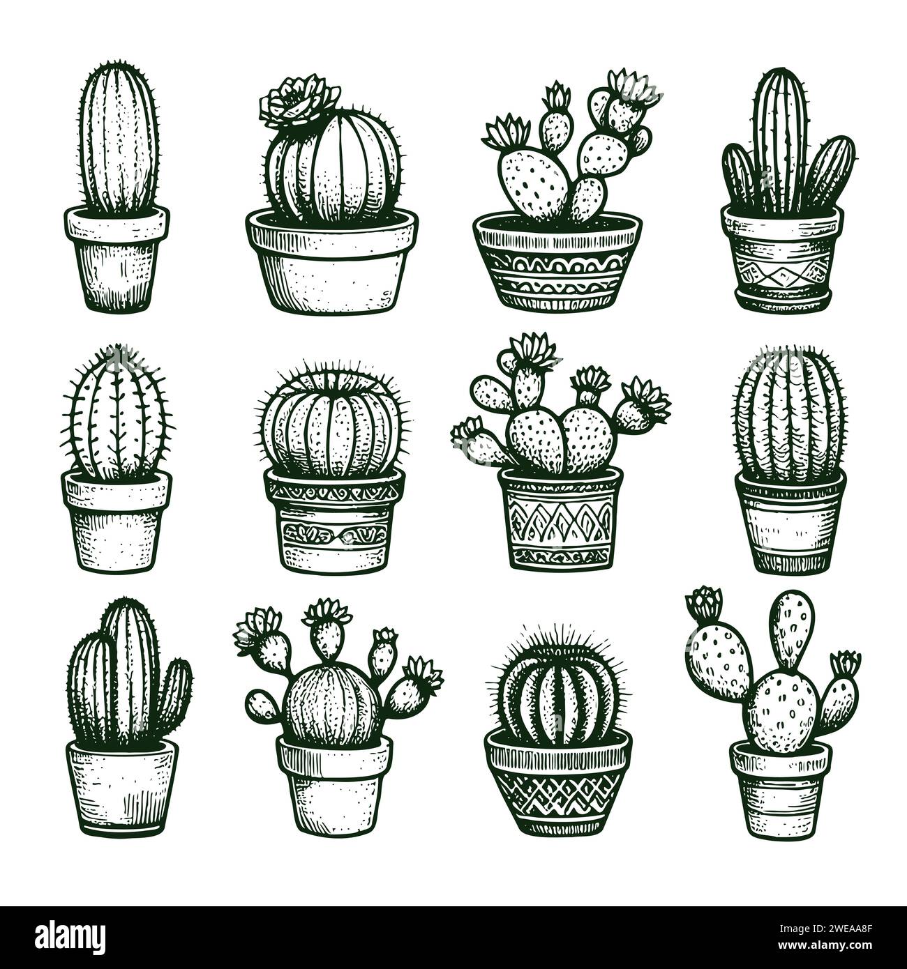 Set of cacti with flowers. Hand drawn illustration converted to vector ...