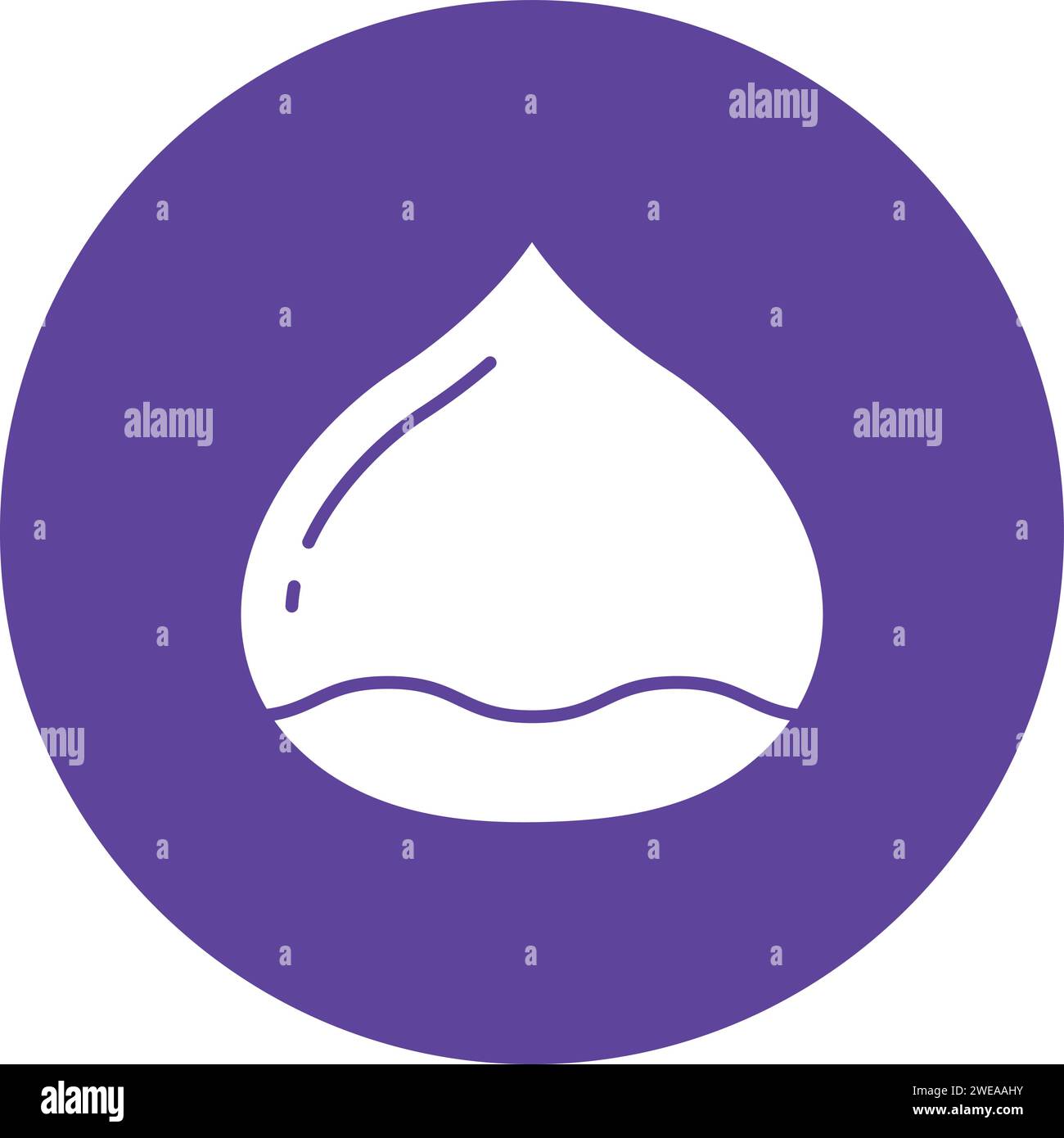 Chestnut icon vector image. Stock Vector