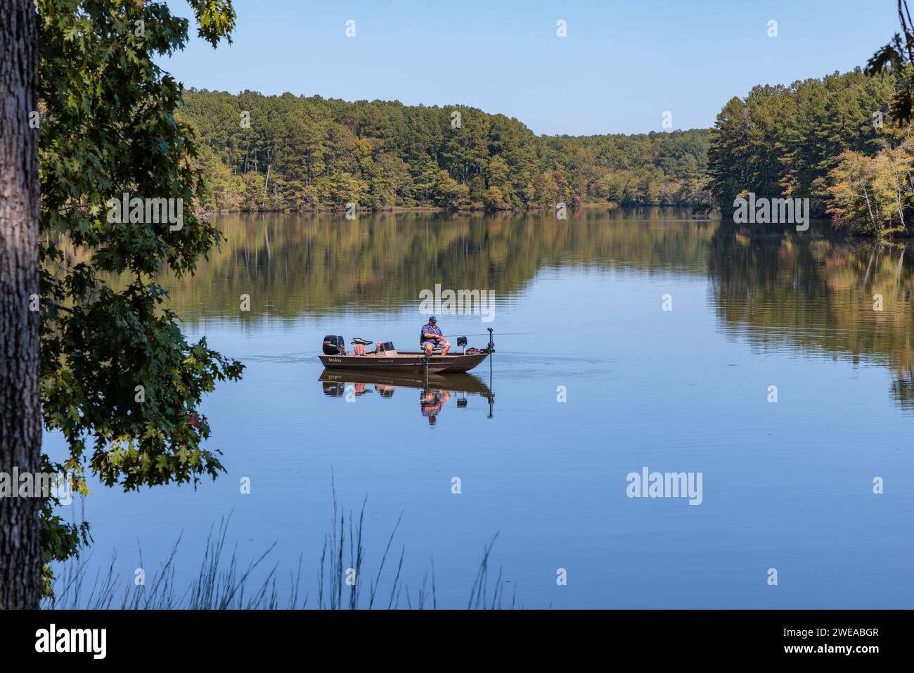 Pin oak campground hires stock photography and images Alamy