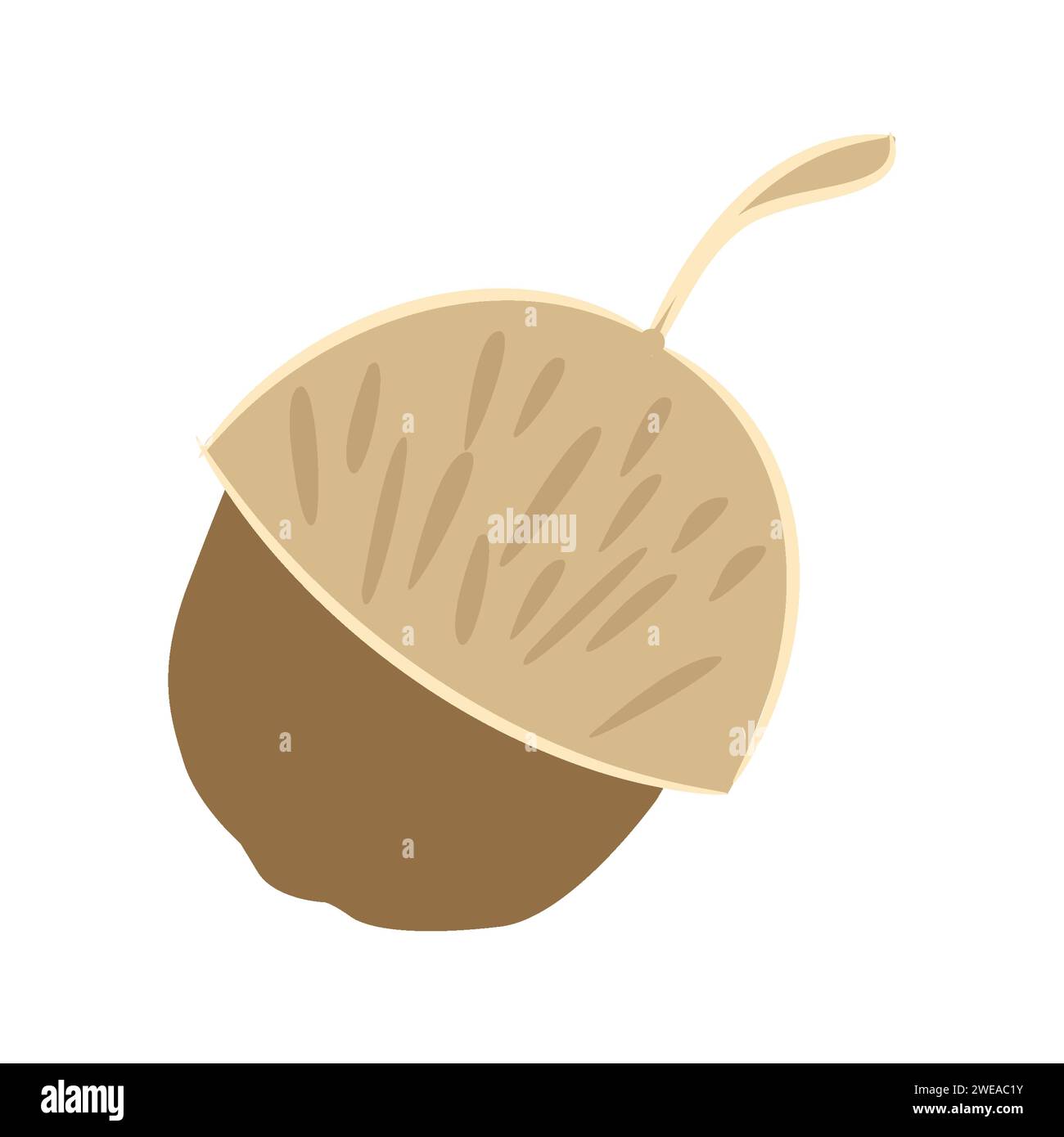 Acorn Nut Icon Vector Illustration Stock Vector