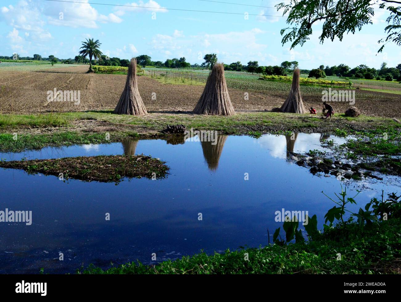 Jute firewood hi-res stock photography and images - Alamy