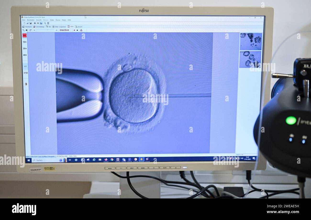 PRODUCTION 17 January 2024, Berlin In the cell laboratory at the