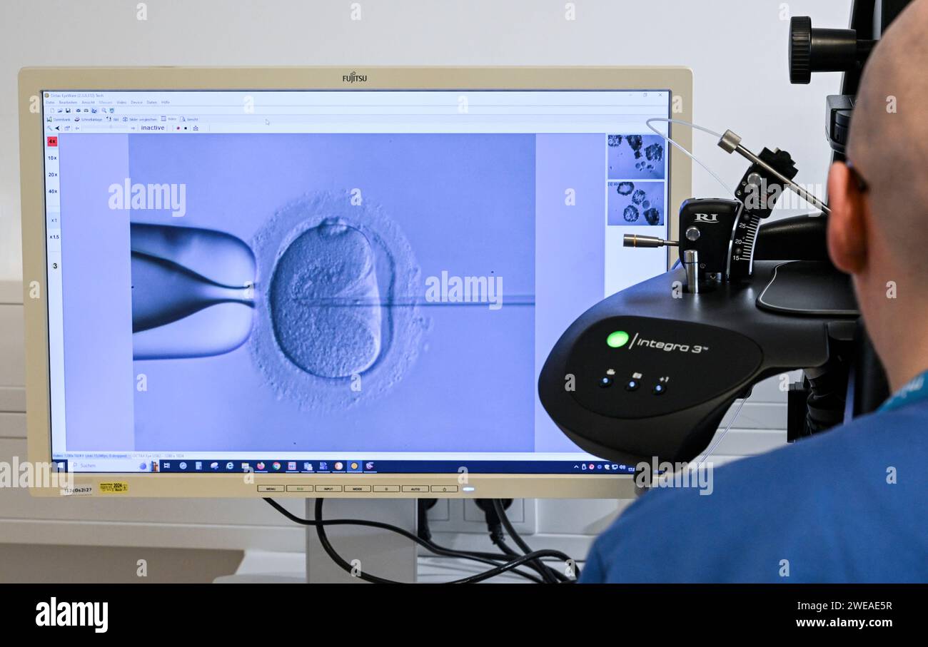 PRODUCTION 17 January 2024, Berlin In the cell laboratory at the